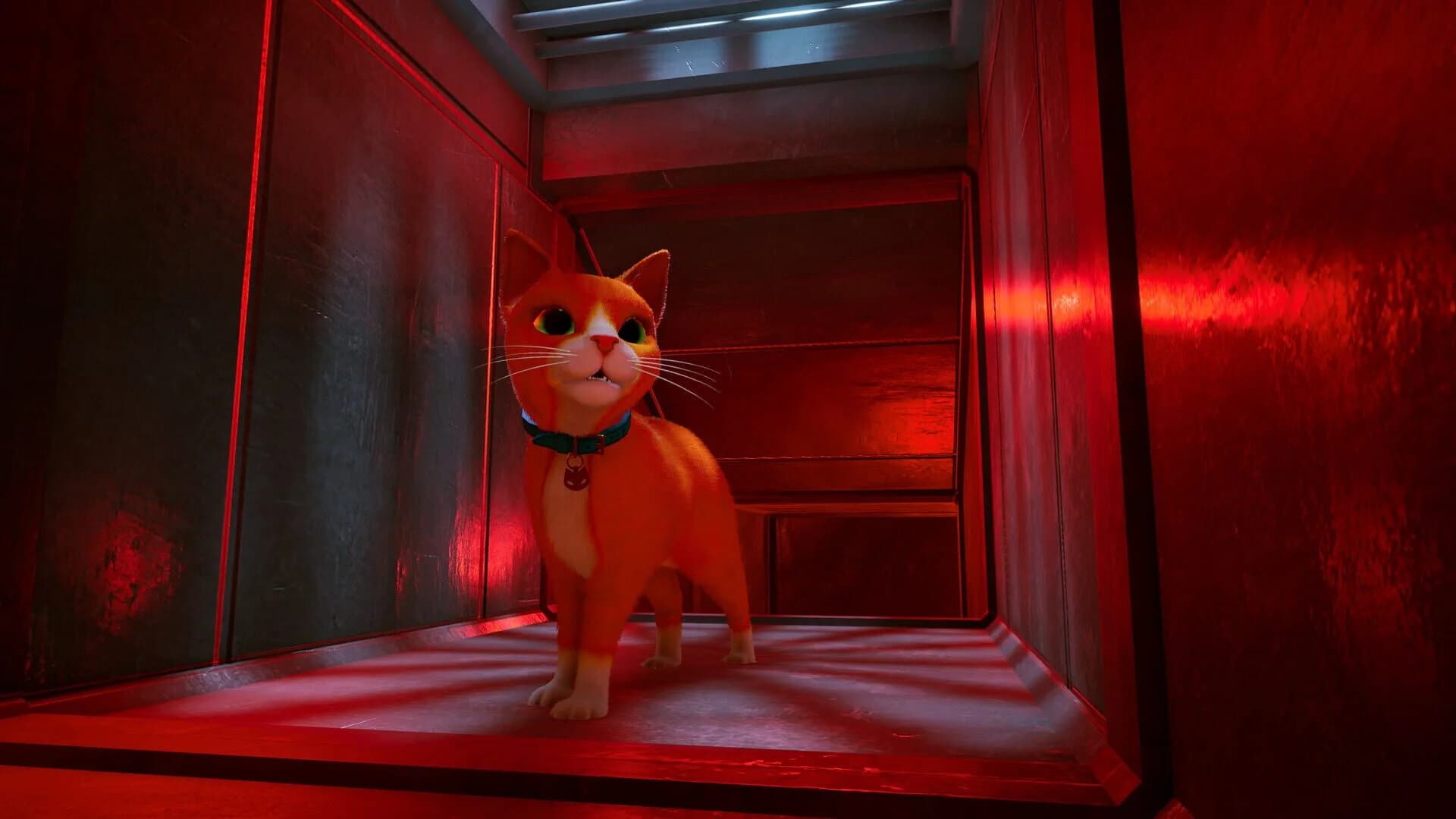 Schrodinger's Cat Burglar screenshot 5