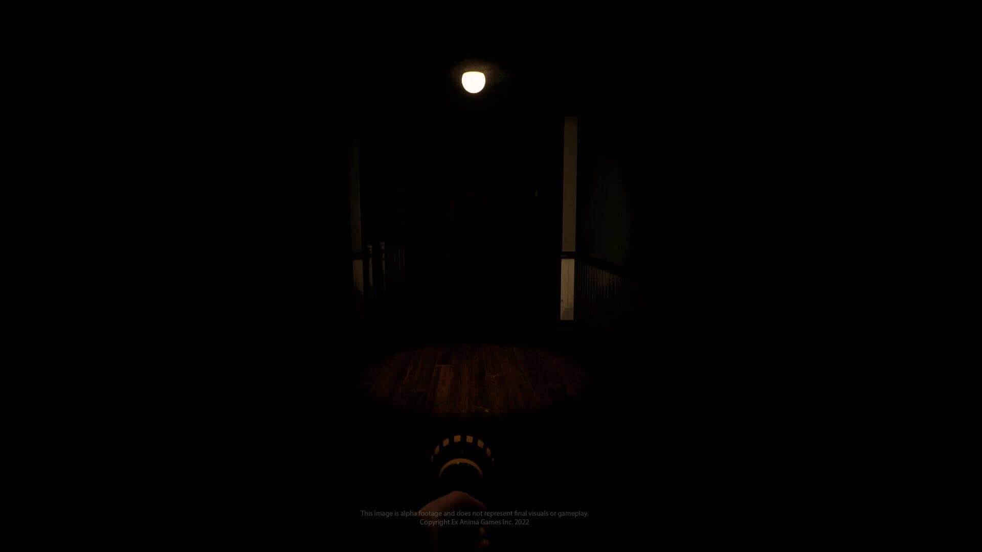 Schwarzwald screenshot 2