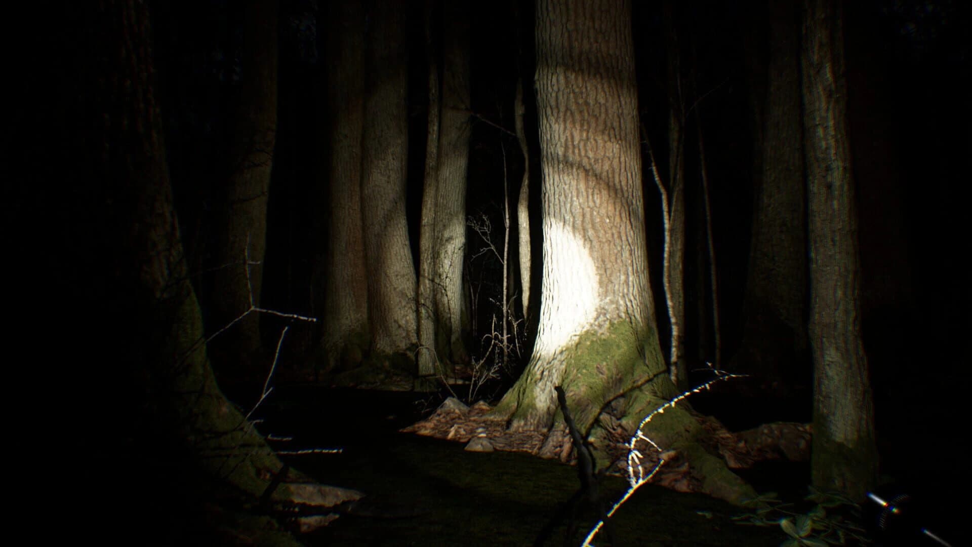 Search 4 Bigfoot screenshot 3