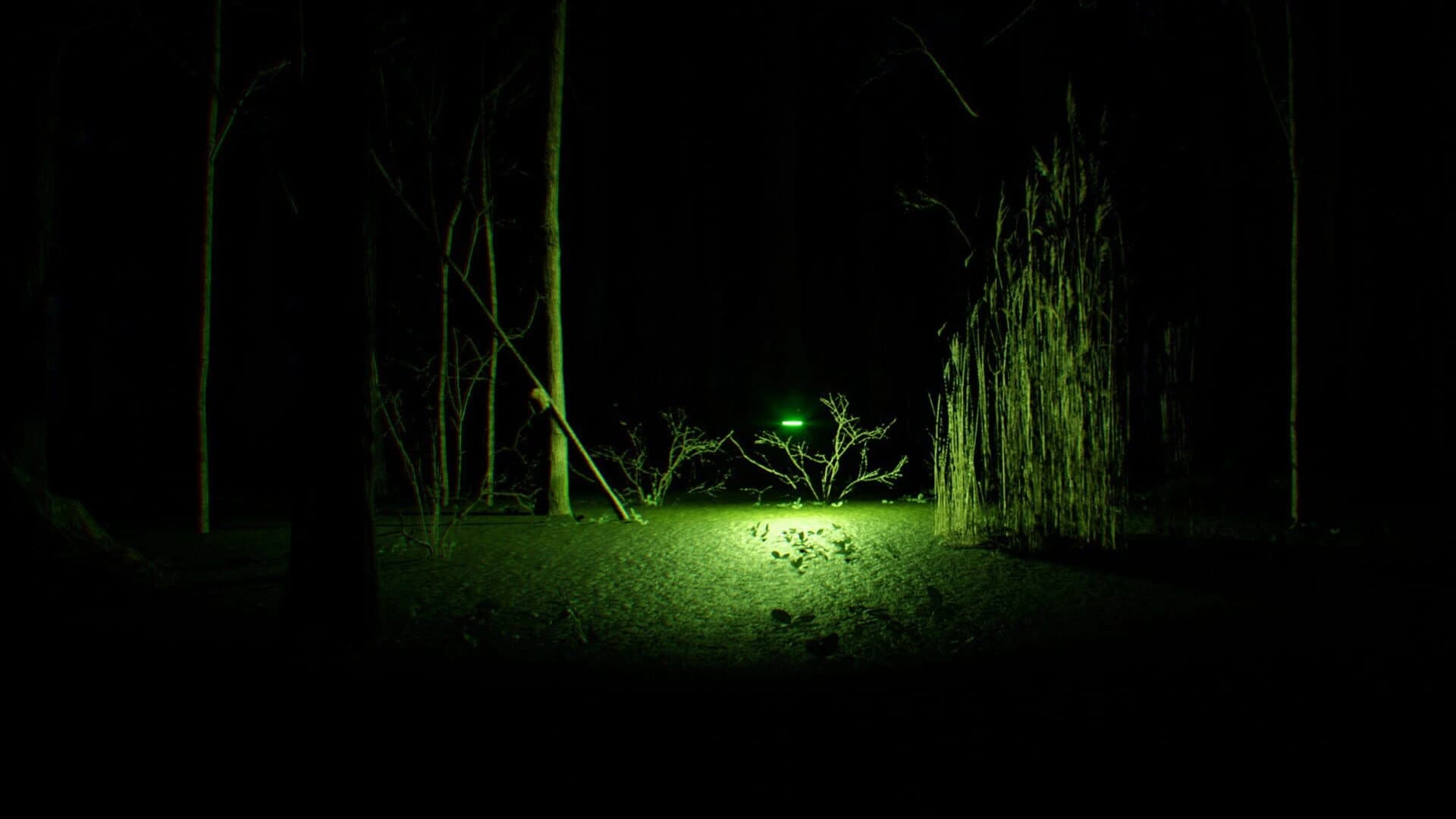 Search 4 Bigfoot screenshot 4
