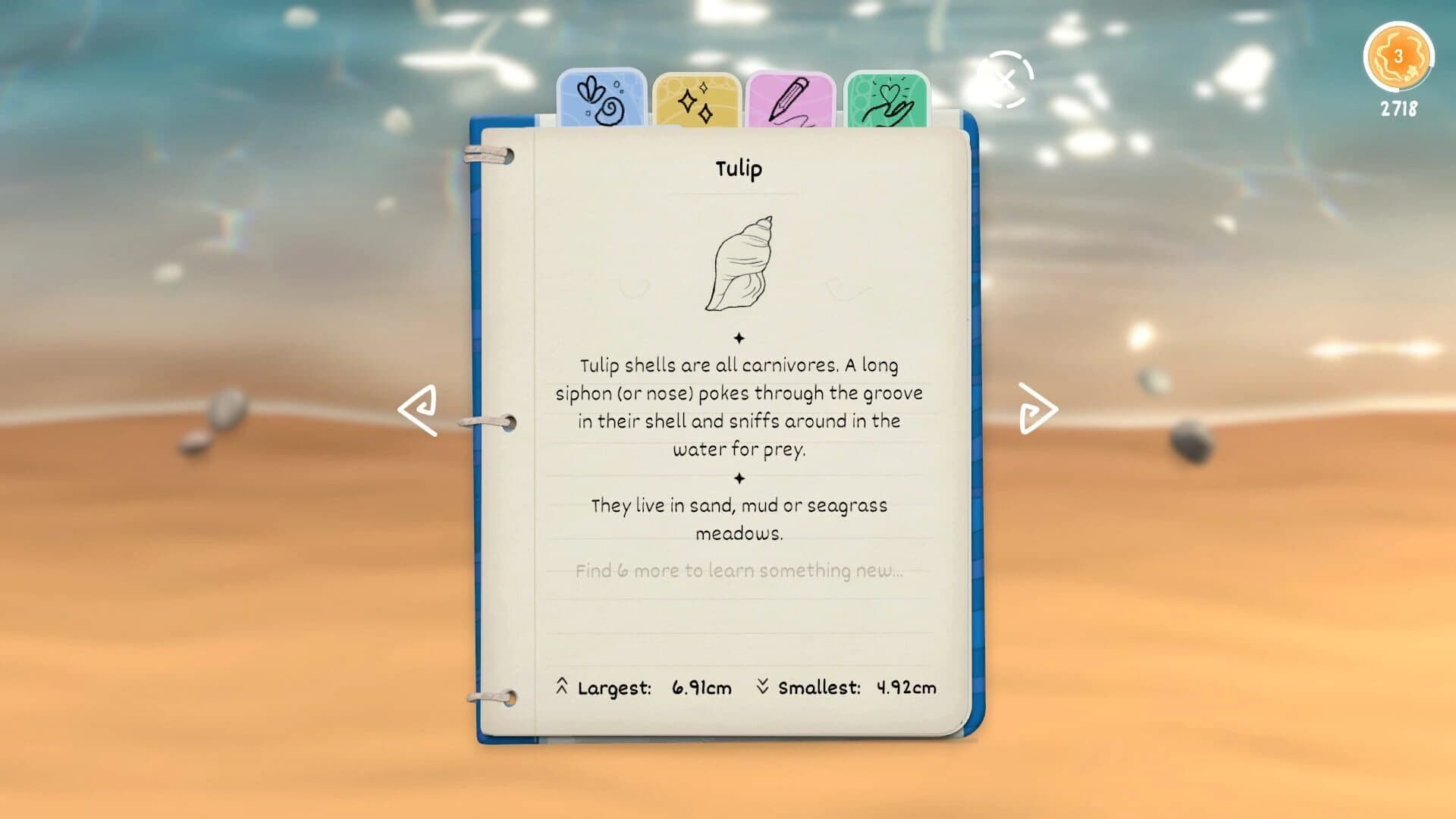Seashell screenshot 2