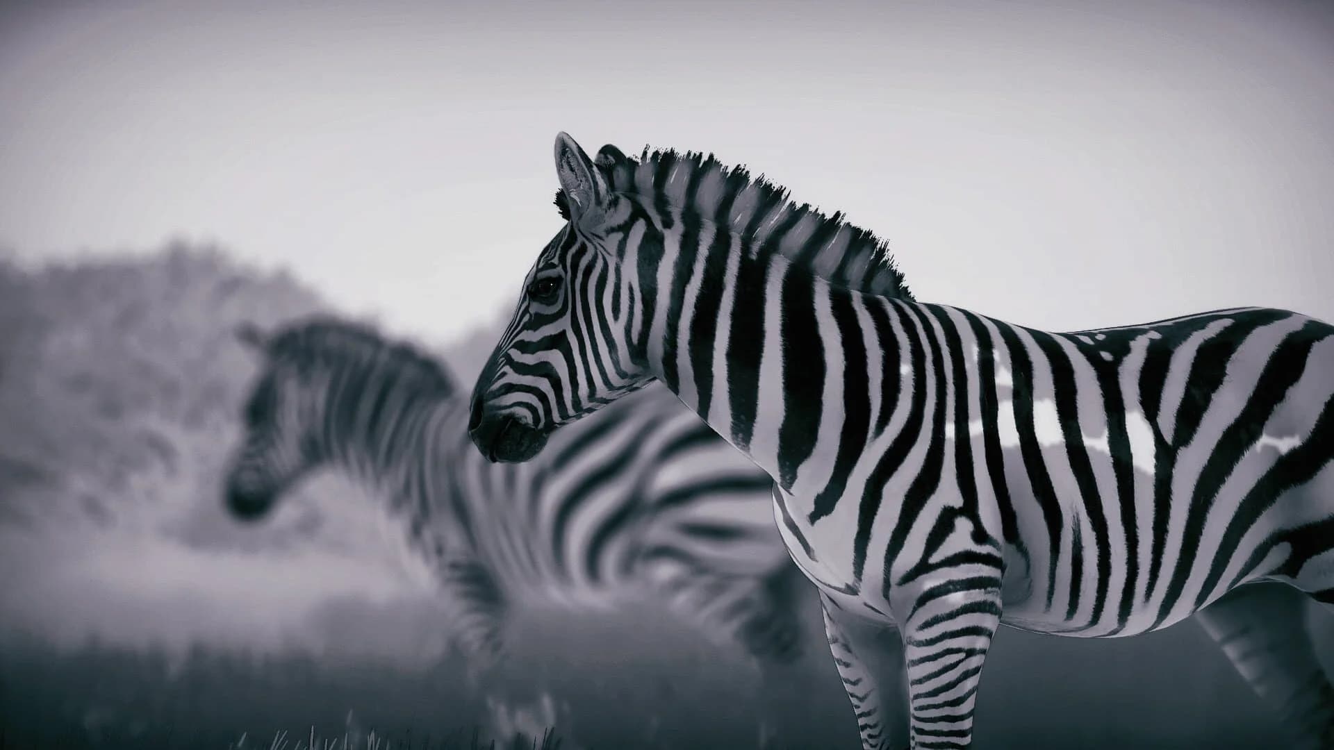 Seclusa screenshot 1