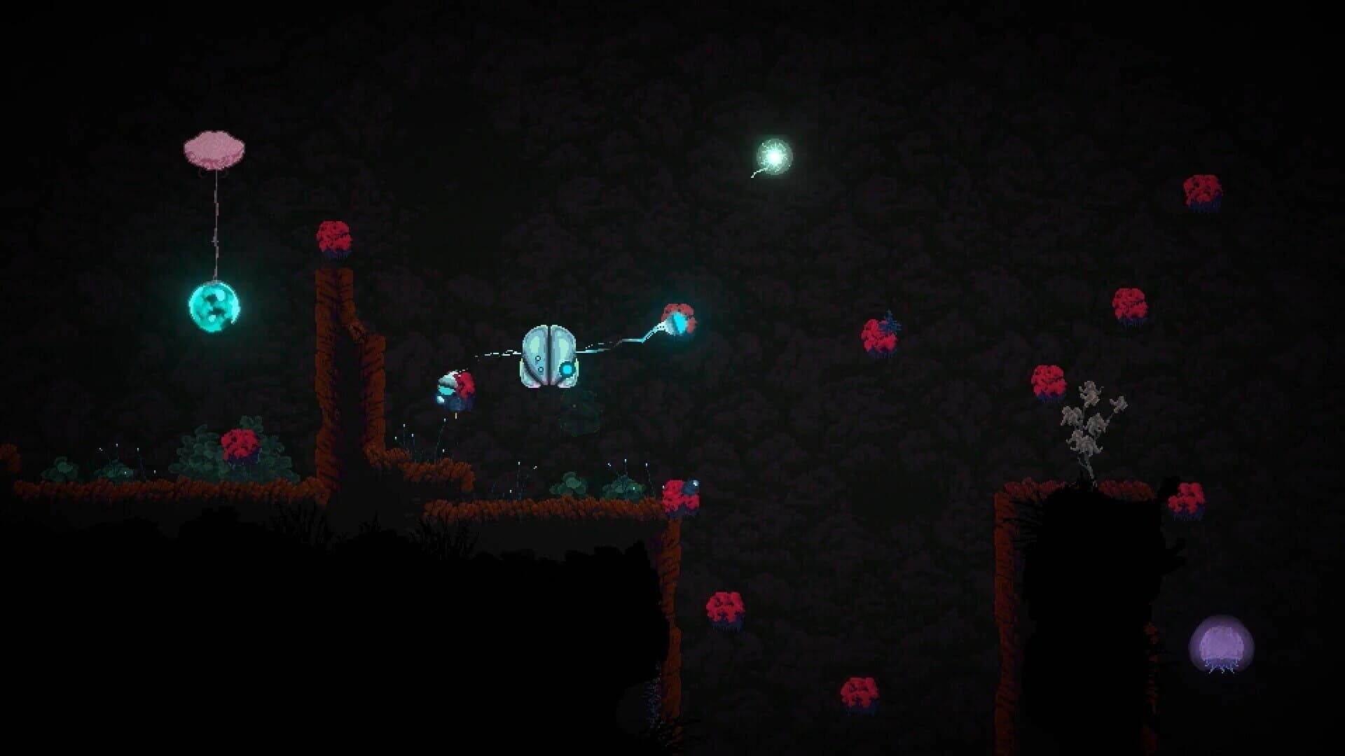 Seed screenshot 3