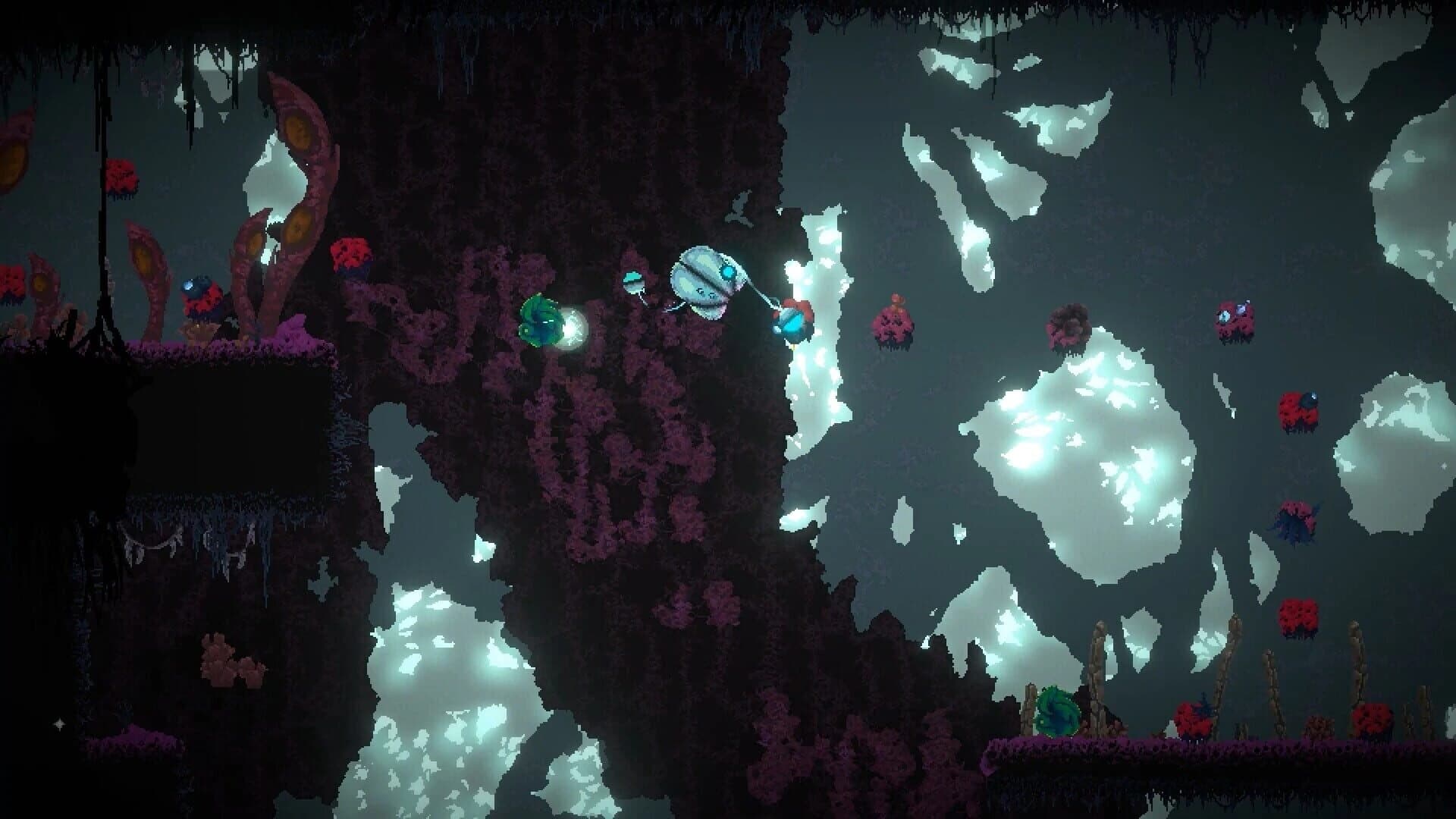Seed screenshot 2