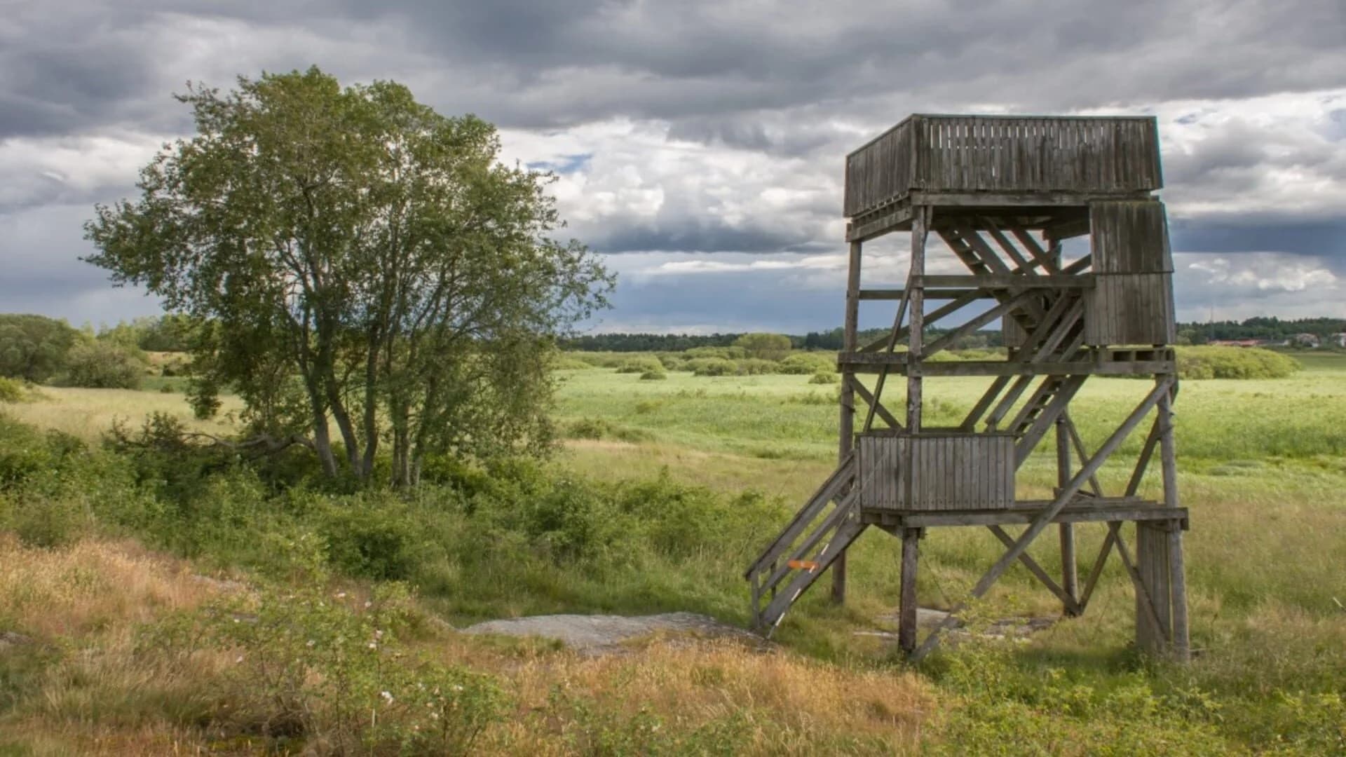 Shades of Black screenshot 1