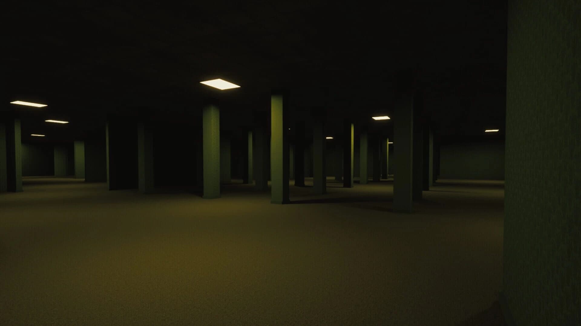 Shadow of Backrooms screenshot 1