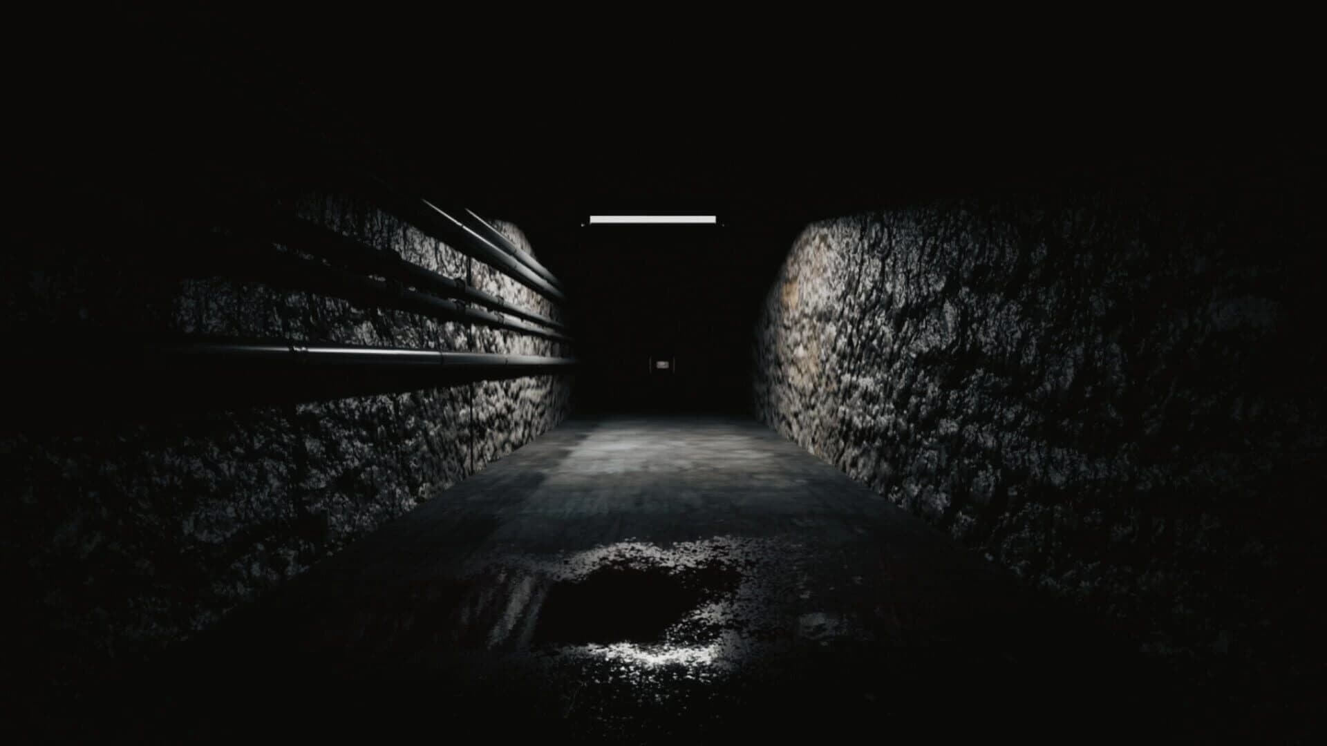 Shadow of Backrooms screenshot 4