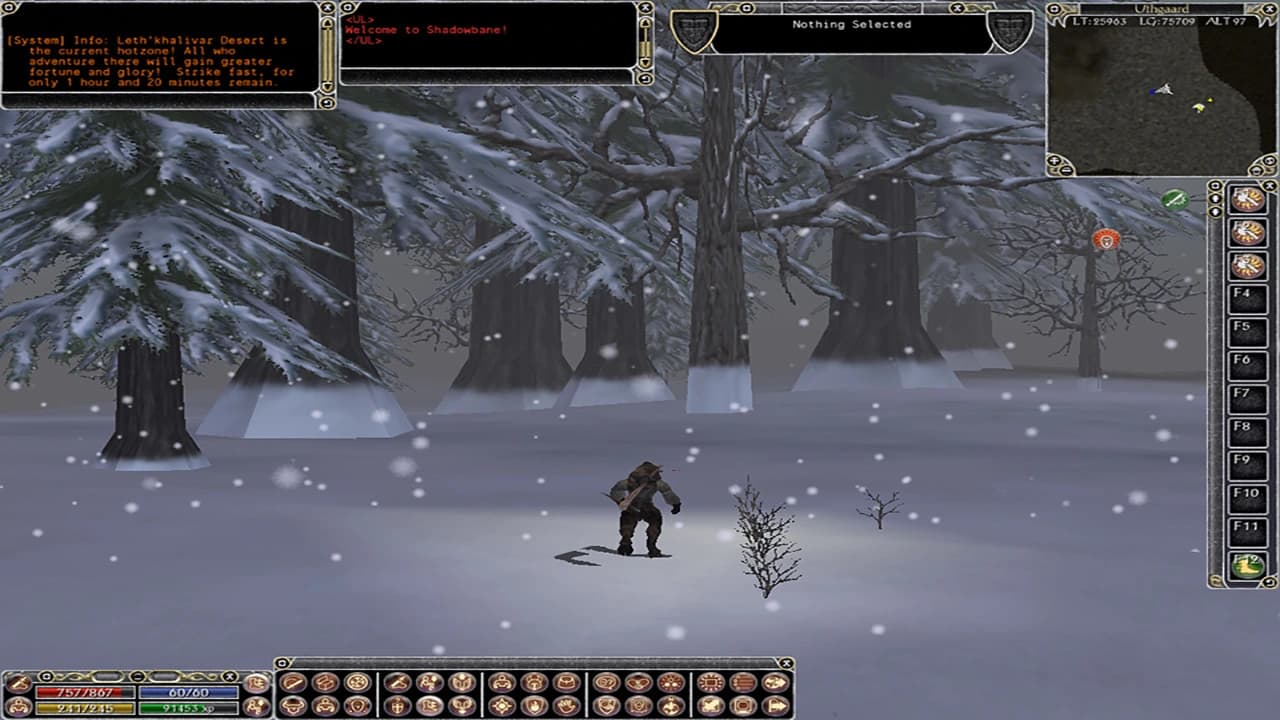 Shadowbane screenshot 2