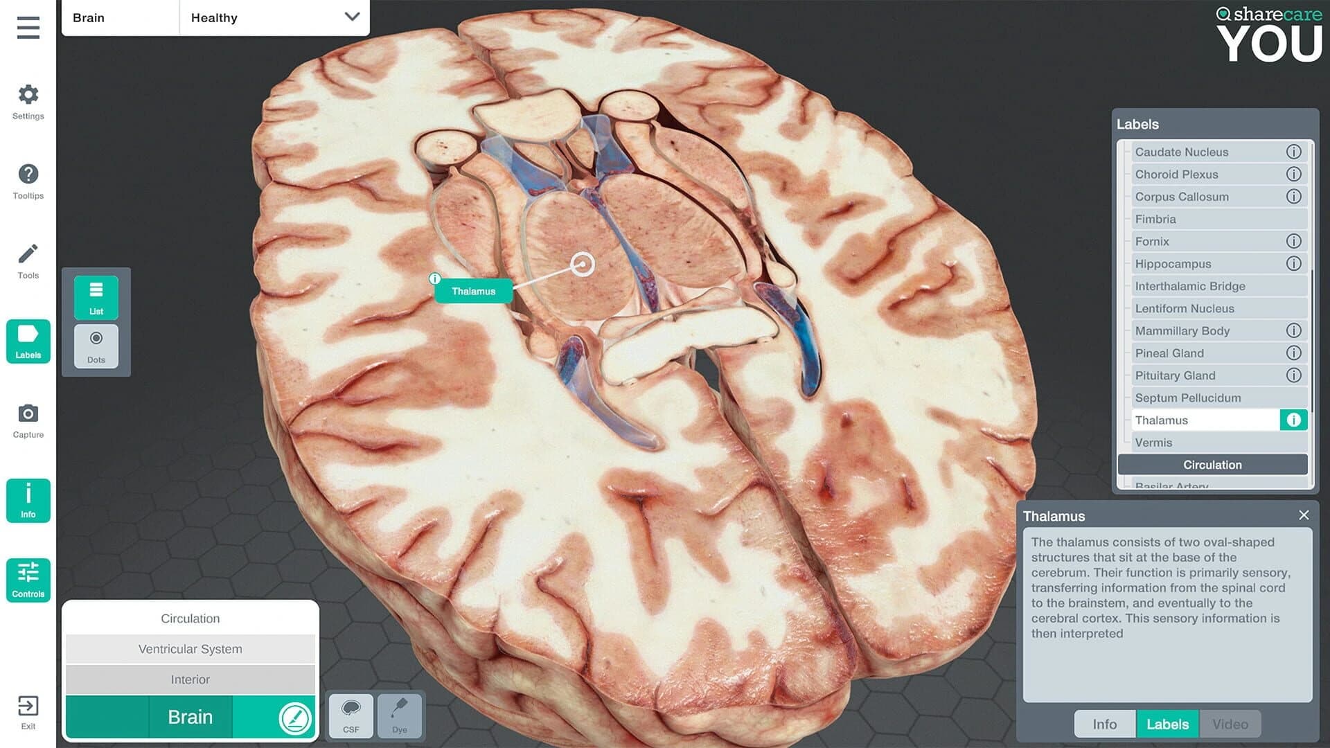 Sharecare You screenshot 4