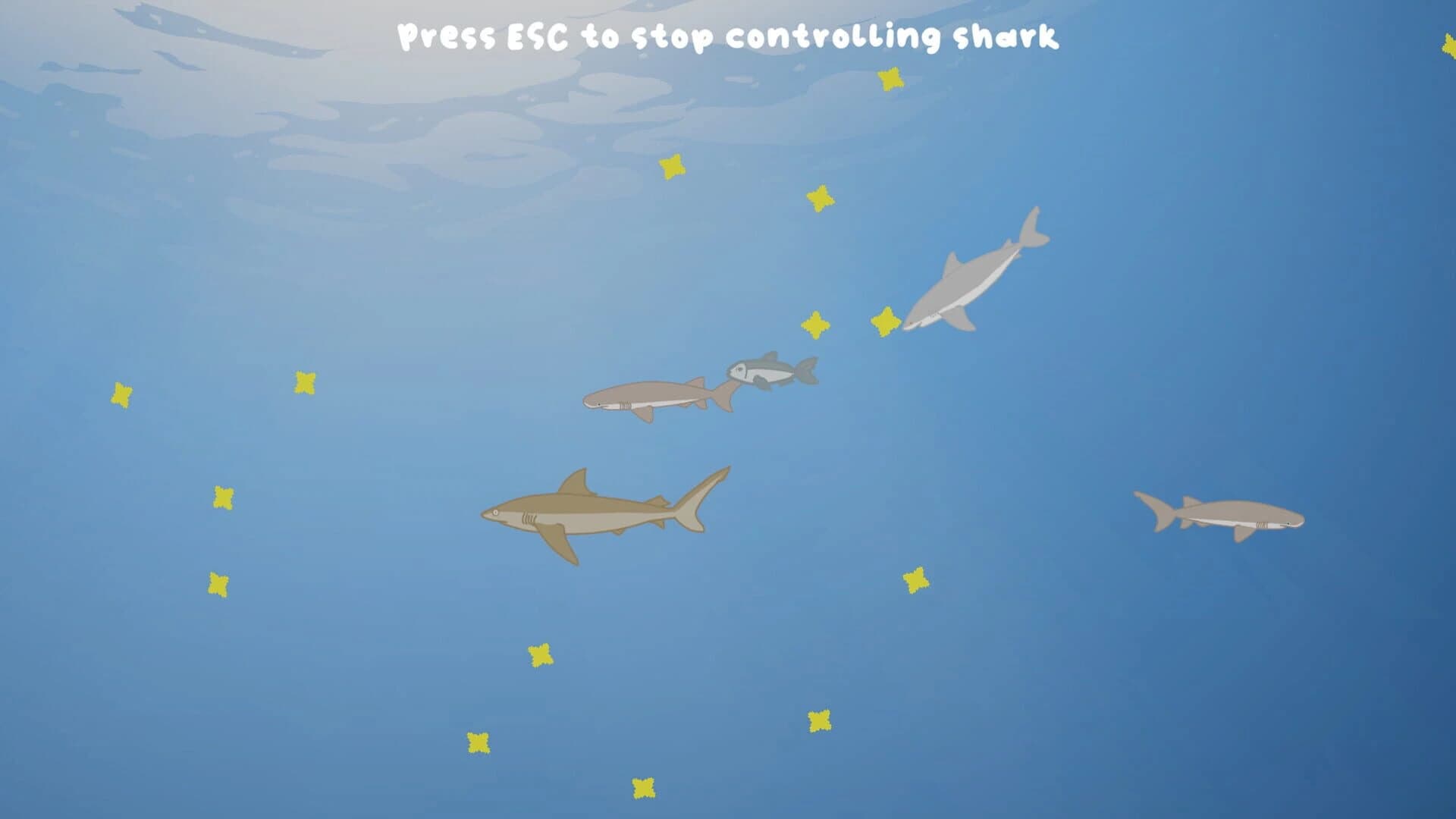 Sharkarama screenshot 3