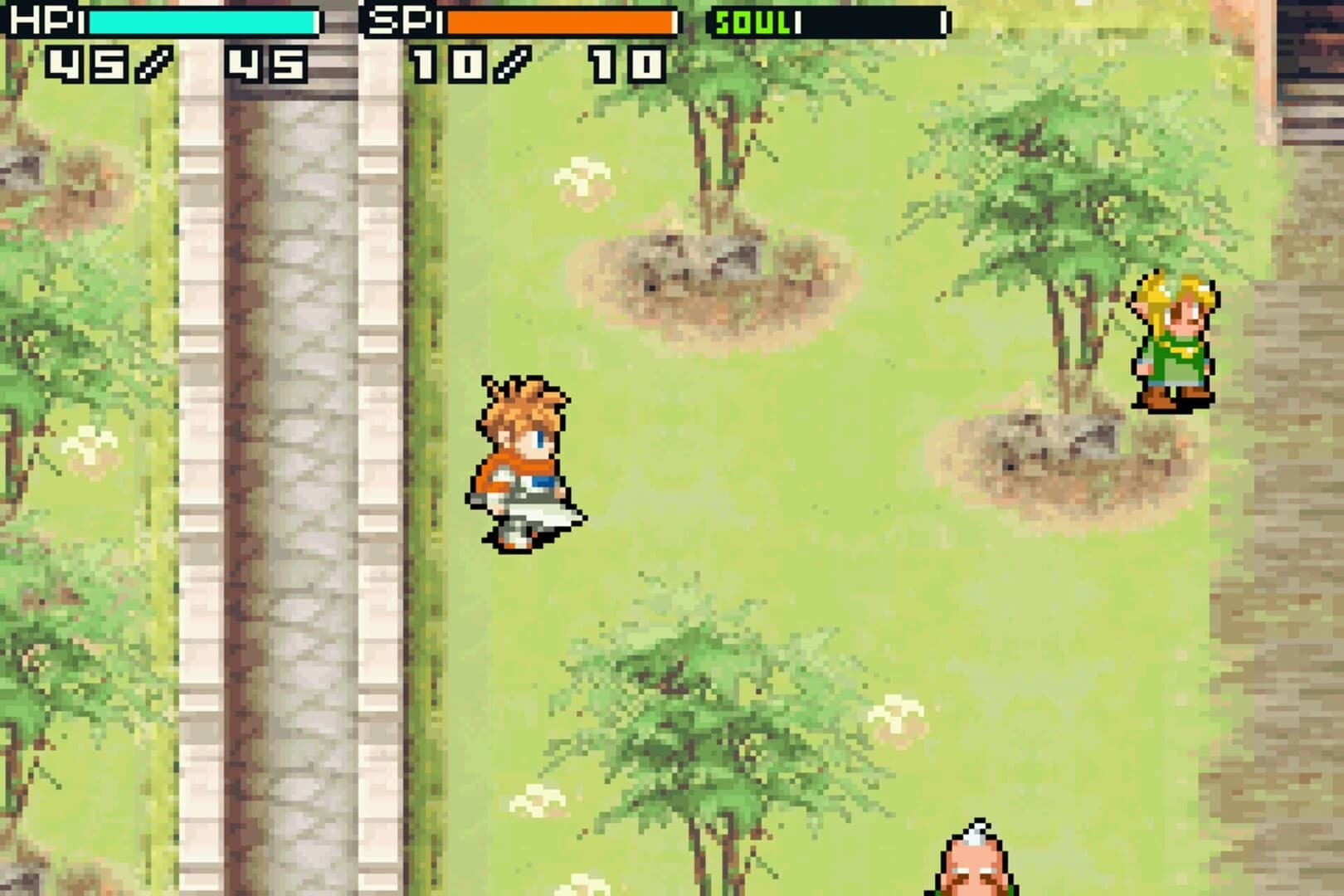 Shining Soul II screenshot 4