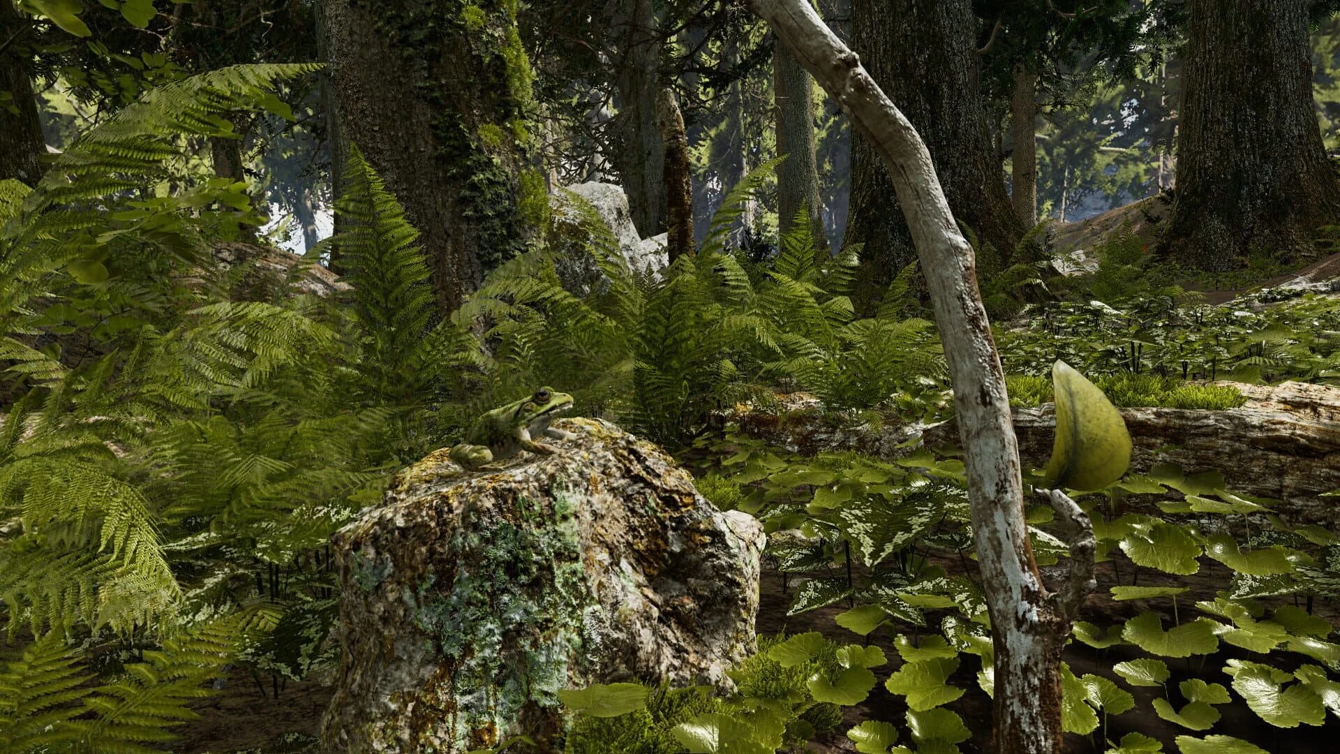 Shinrin-yoku screenshot 1