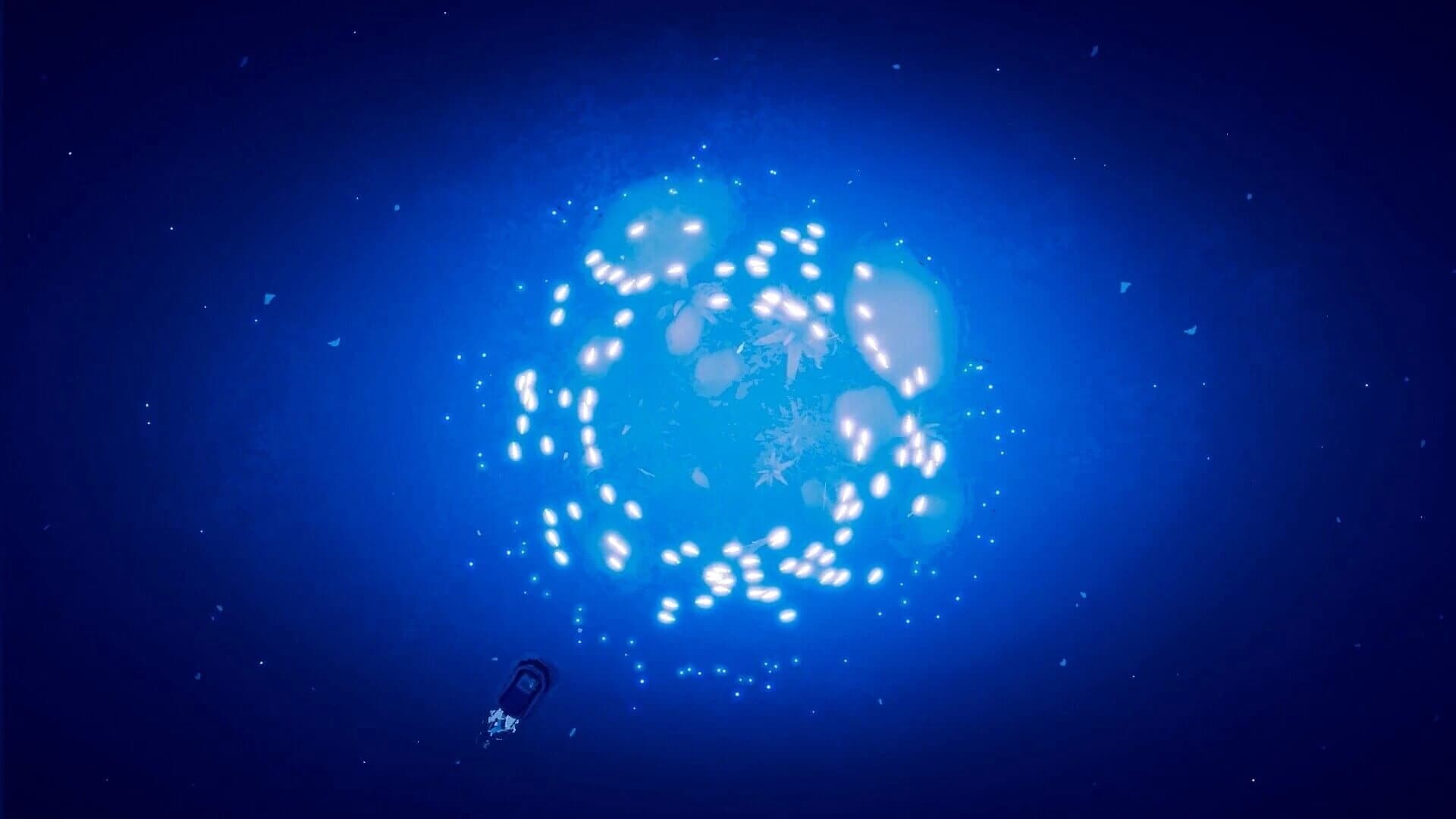 Shippin screenshot 3