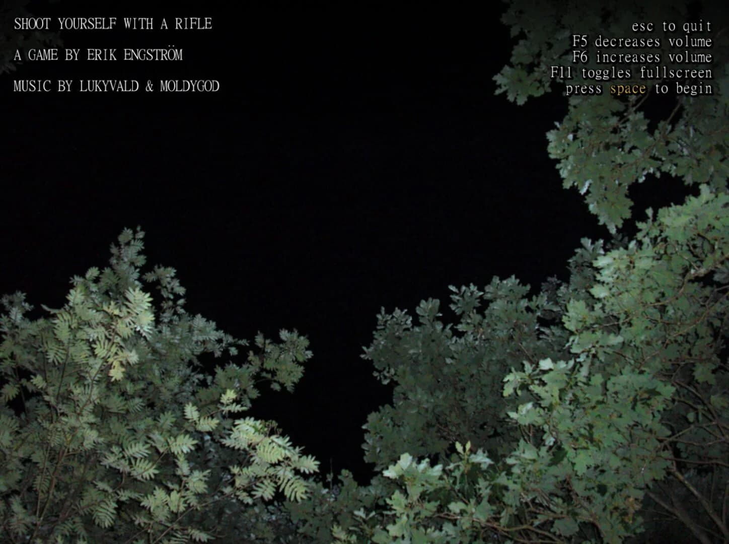 Shoot Yourself With a Rifle screenshot 1