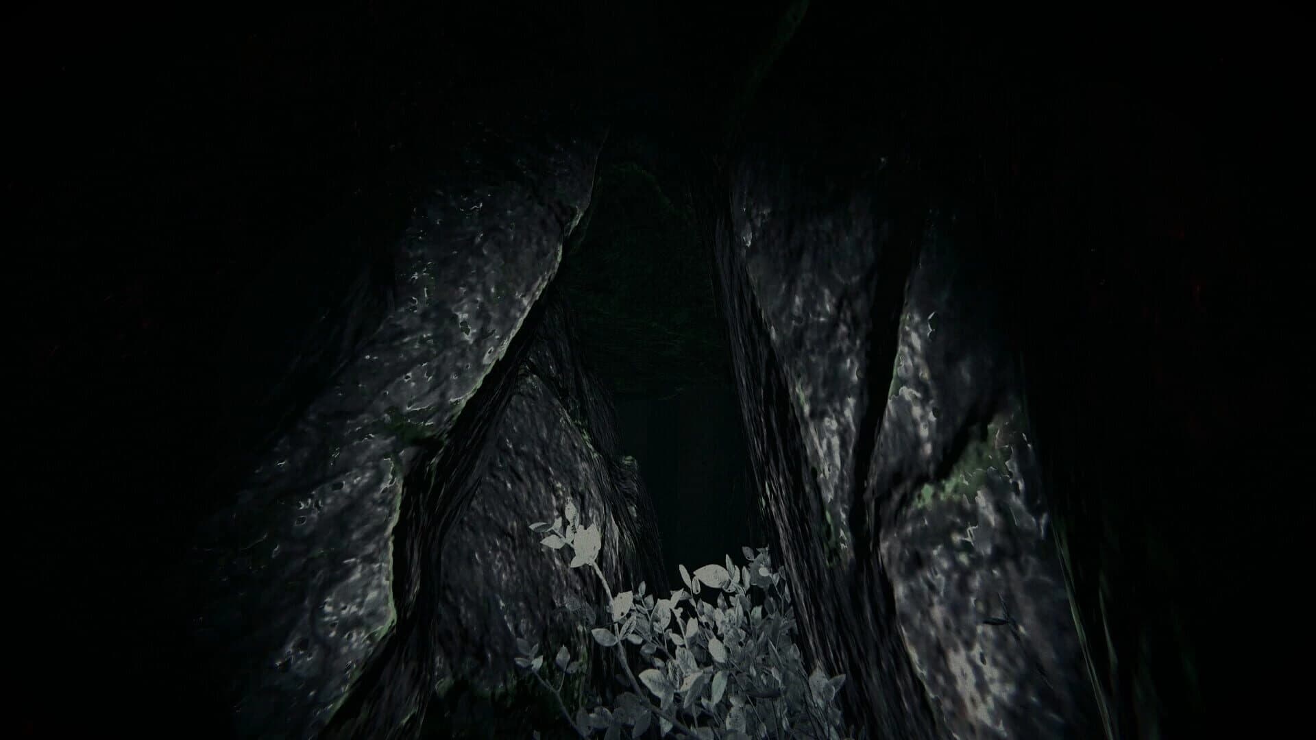 Shroud of the Woods screenshot 3