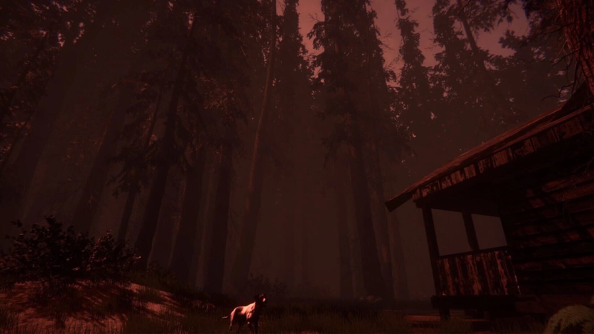 Shroud of the Woods screenshot 5