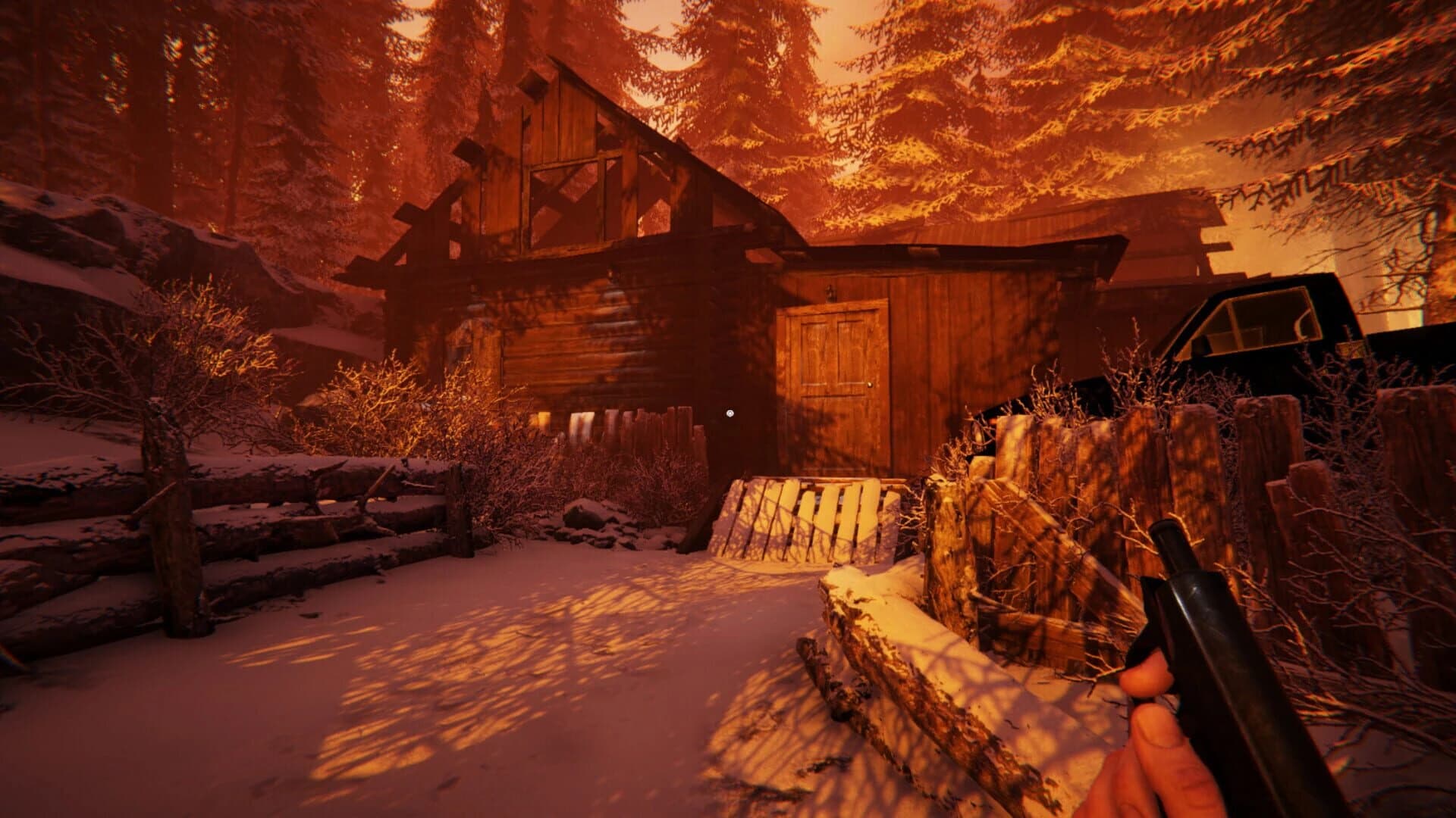Silence in the Cabin screenshot 2