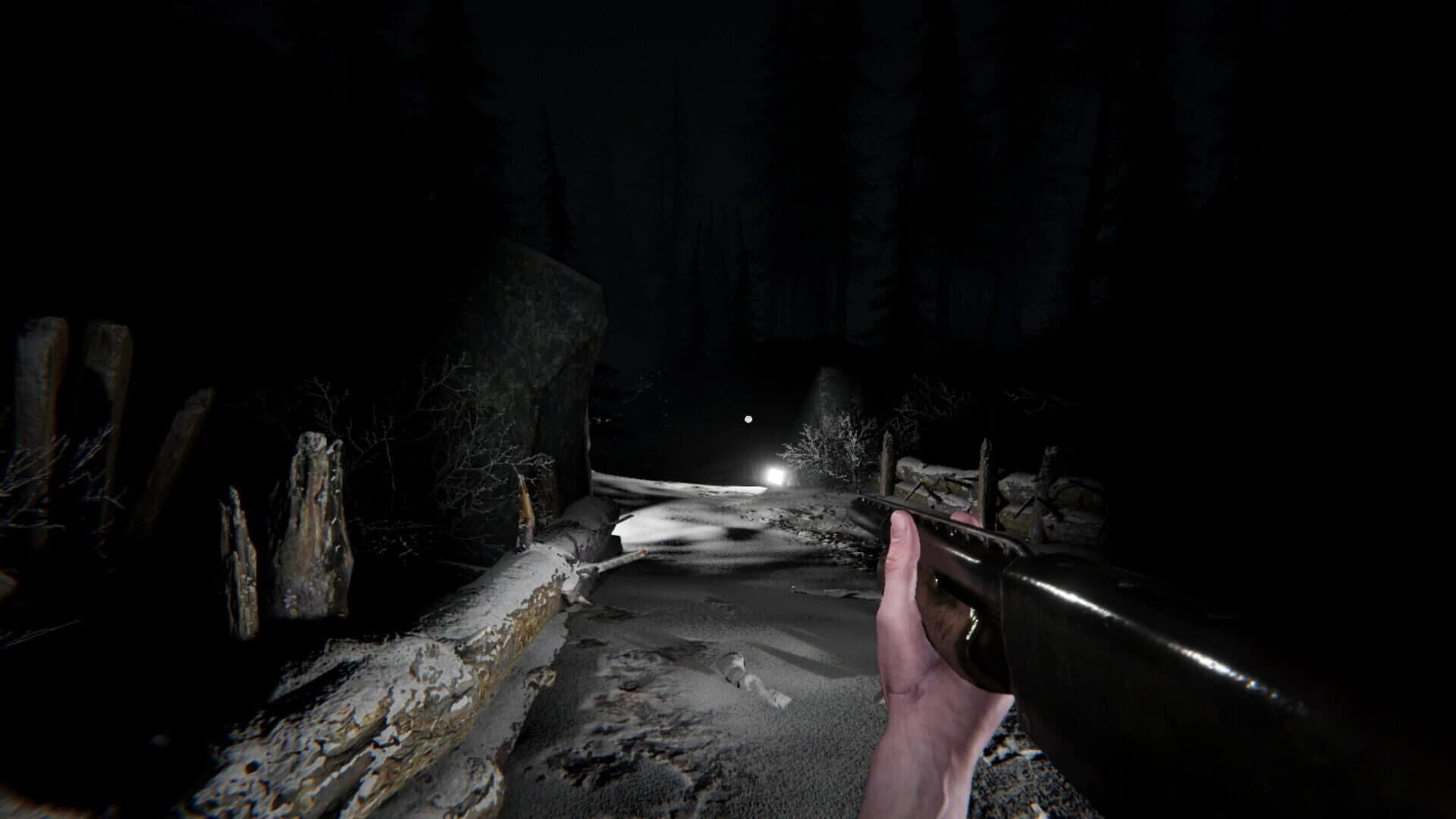 Silence in the Cabin screenshot 3