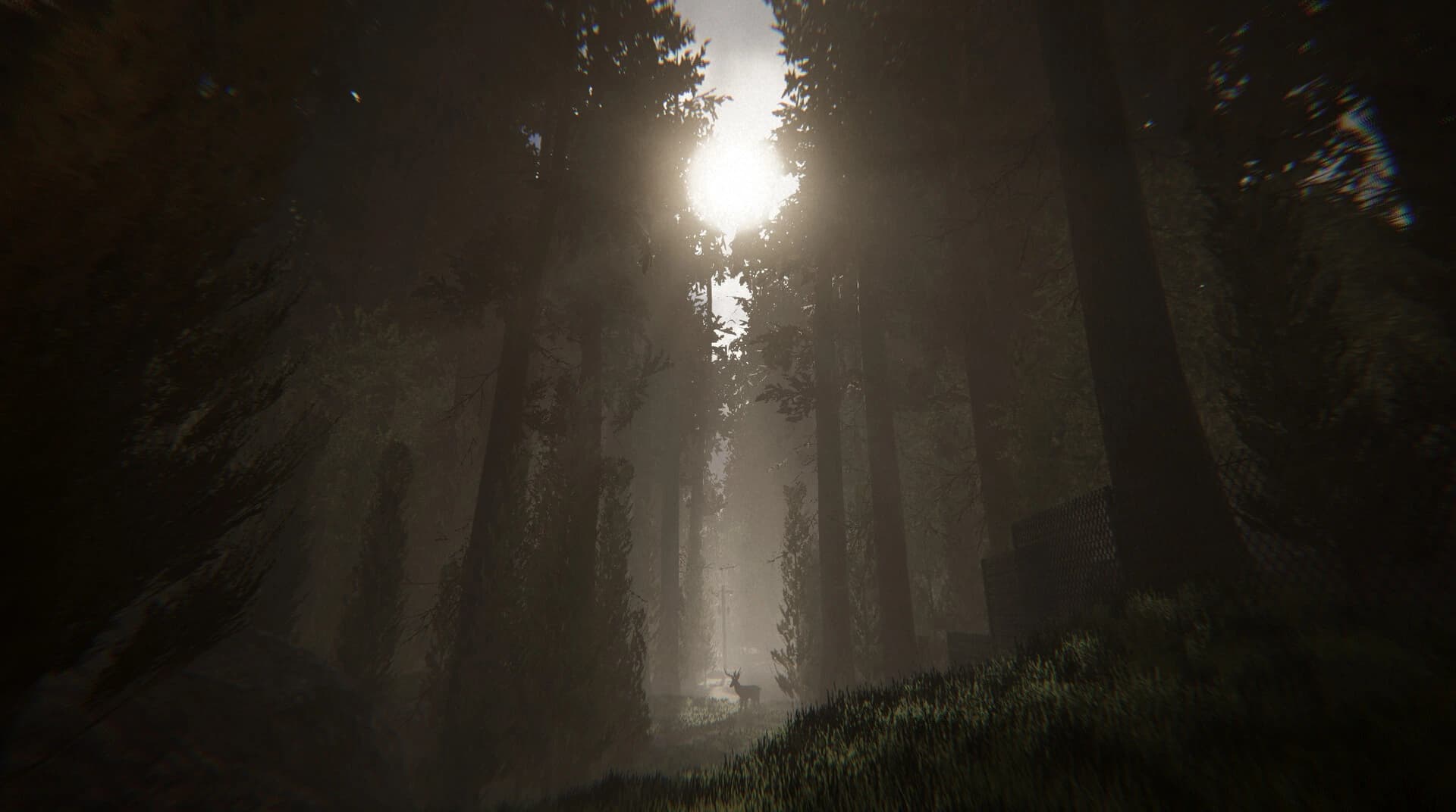 Silvanis screenshot 2