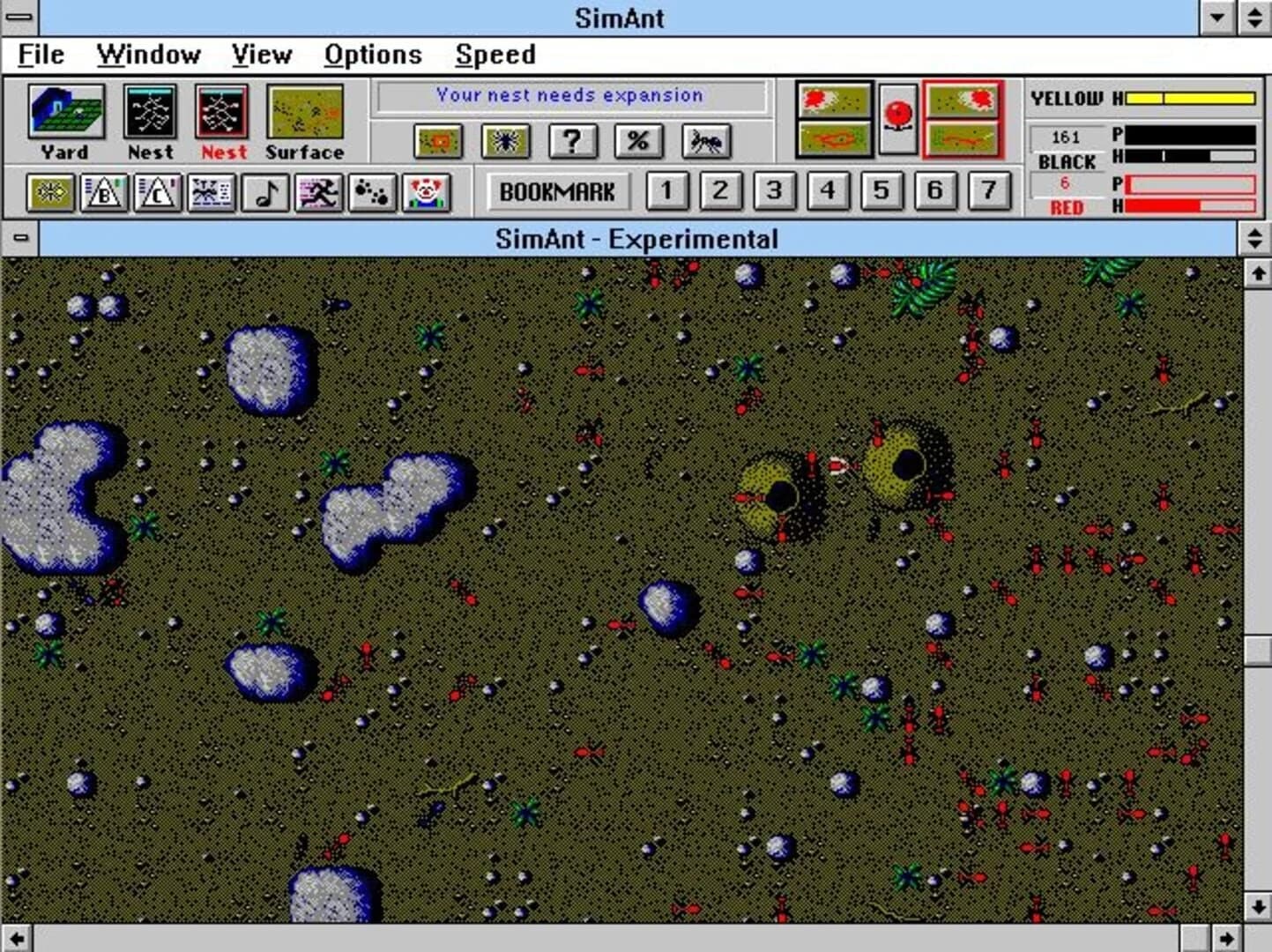 SimAnt screenshot 2
