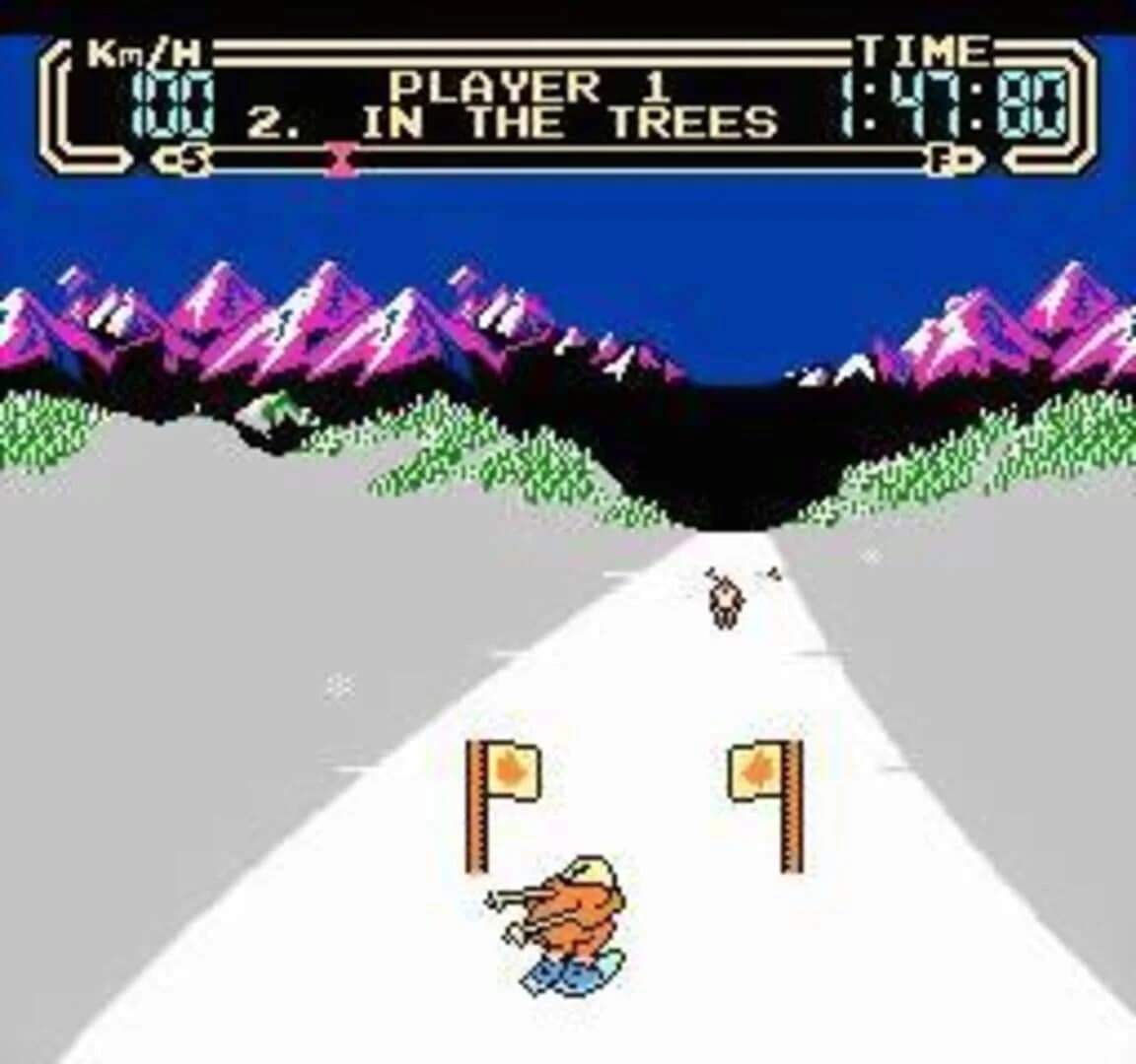 Slalom screenshot 1