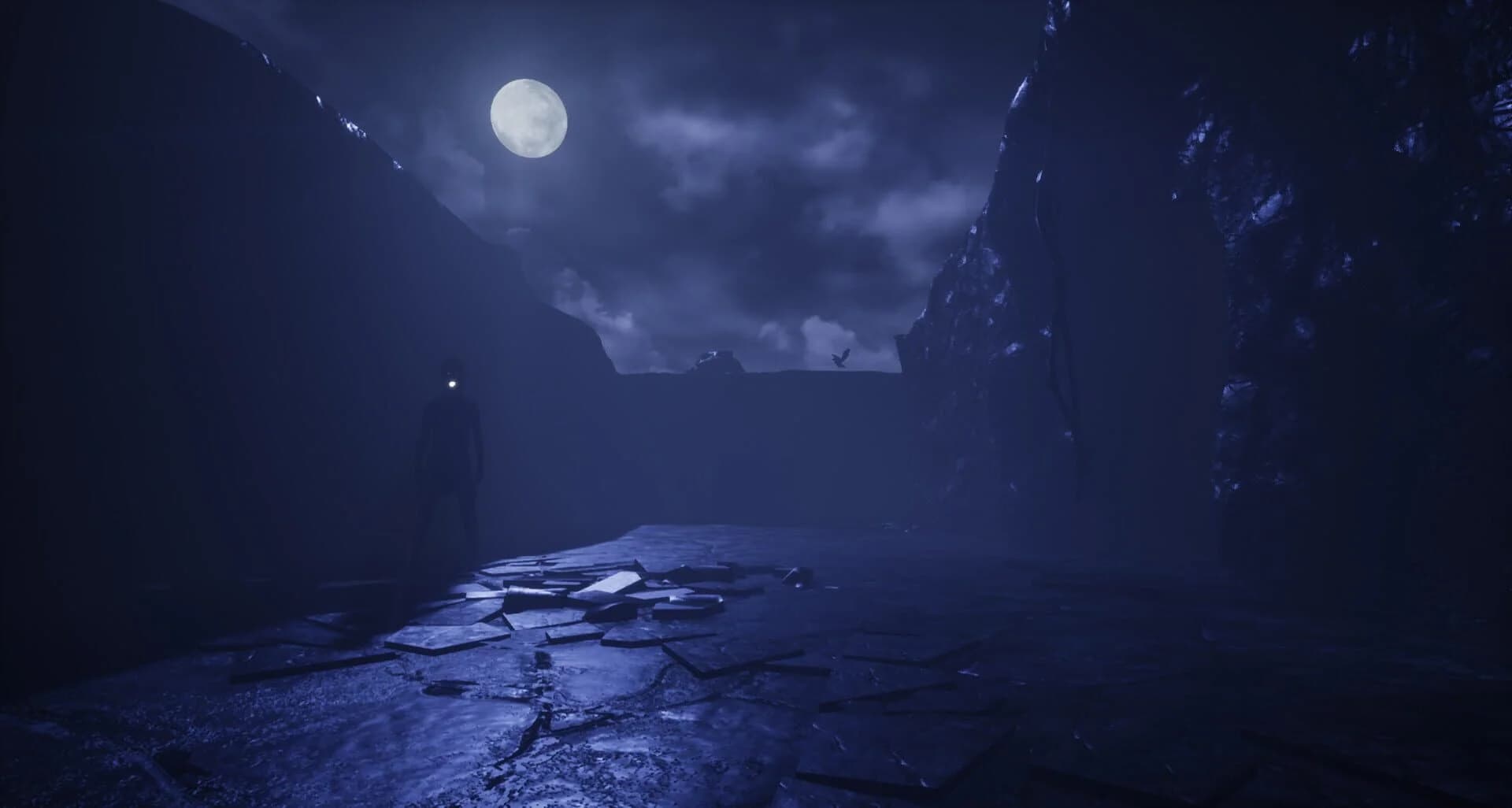 Sleeping Dawn screenshot 3