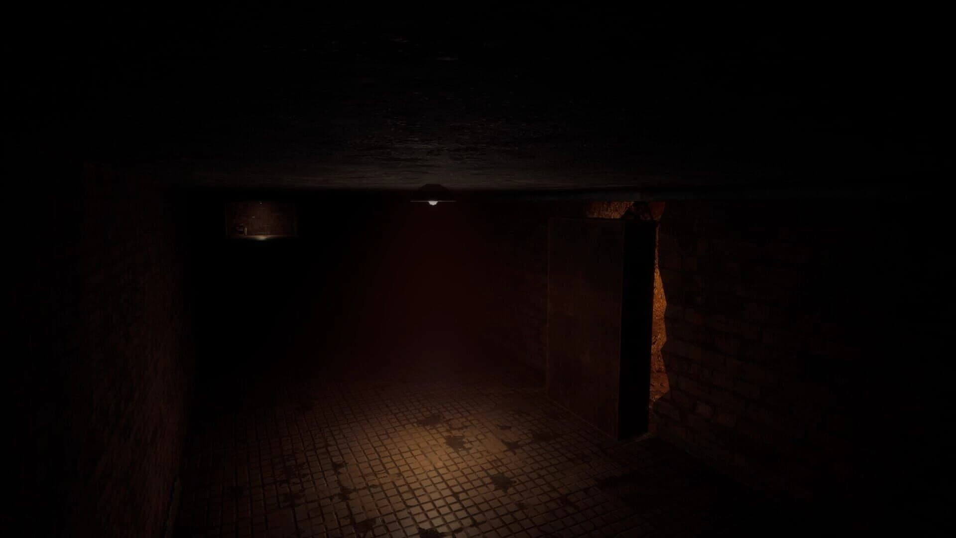 Slendrina Remake screenshot 2