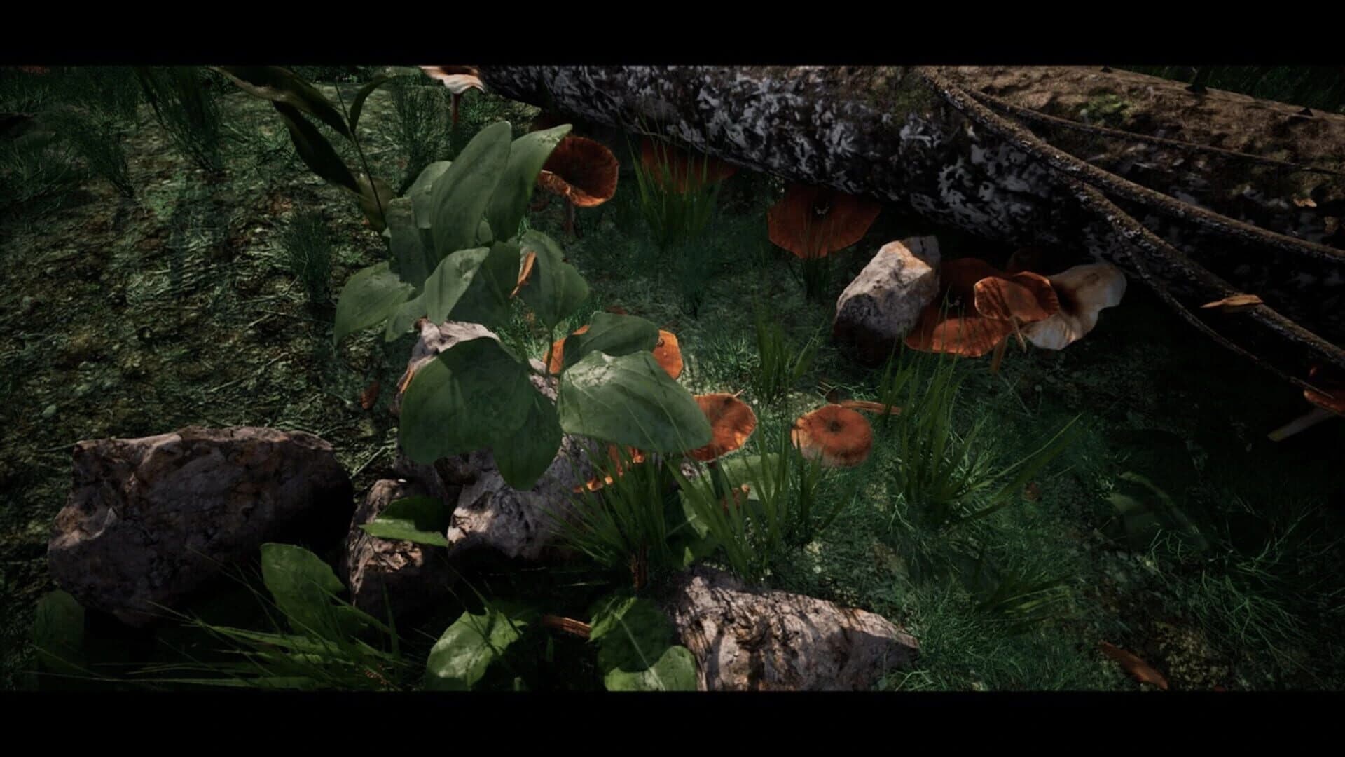 Soilborn: Ant Empire screenshot 5