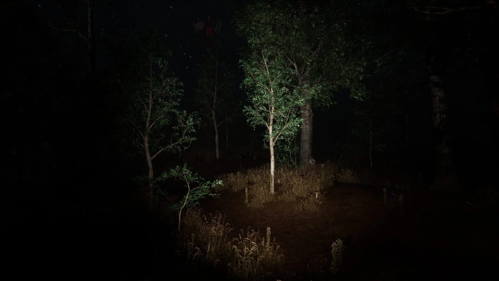 Something's Out There screenshot 5