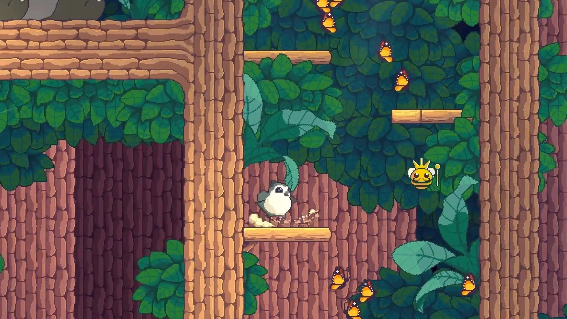 Songbird Symphony screenshot 3