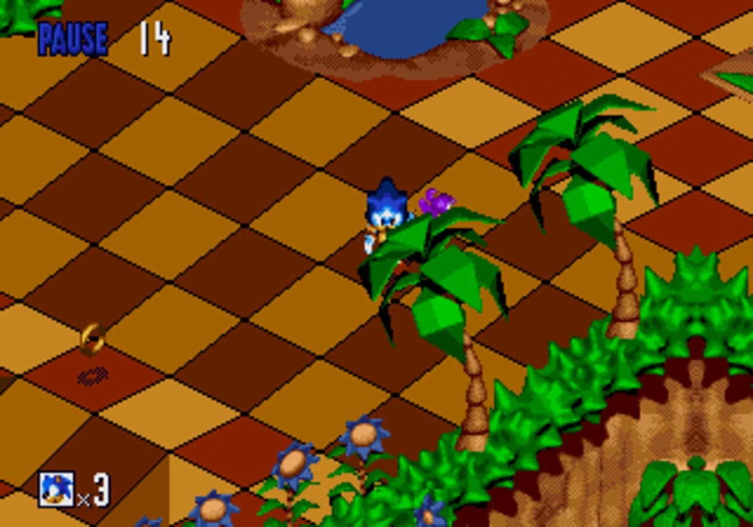 Sonic 3D: No Flickies screenshot 1