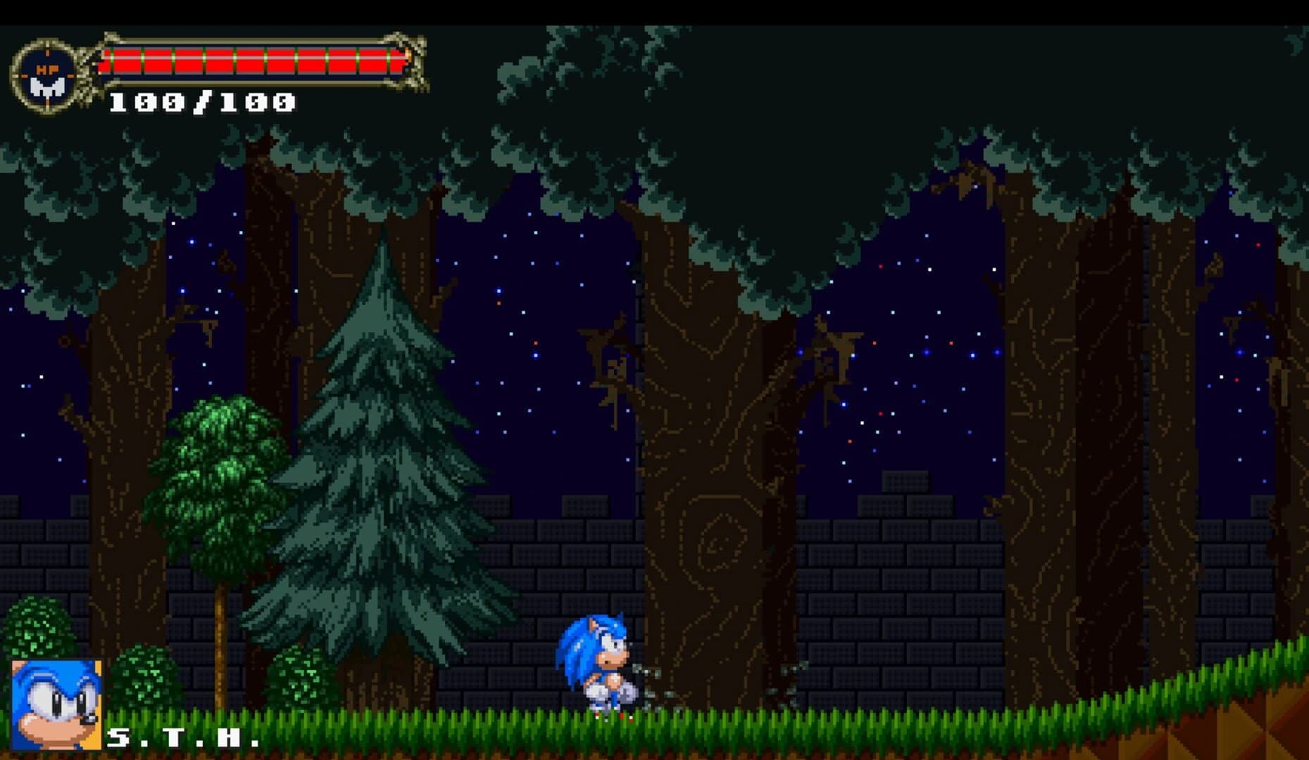 Sonic: The Murdering Insanity screenshot 2