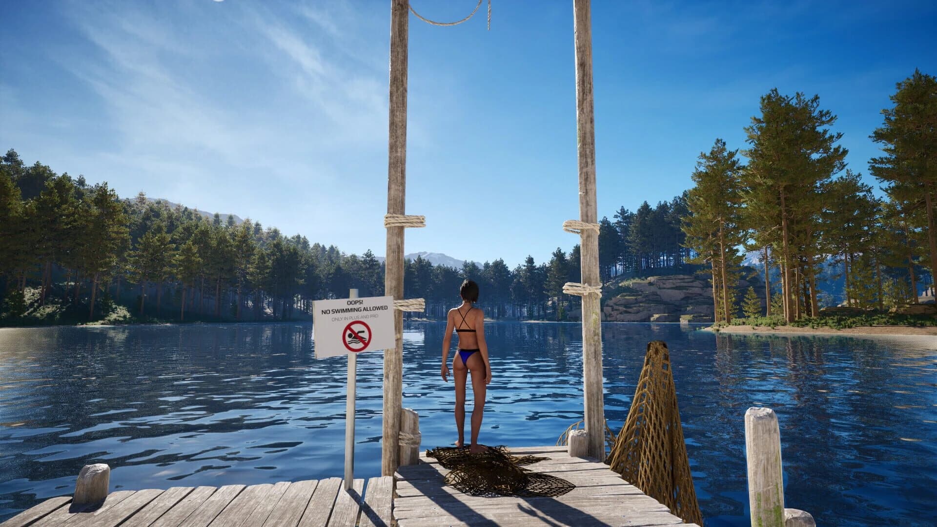 Sons Of The Dream Forest screenshot 2