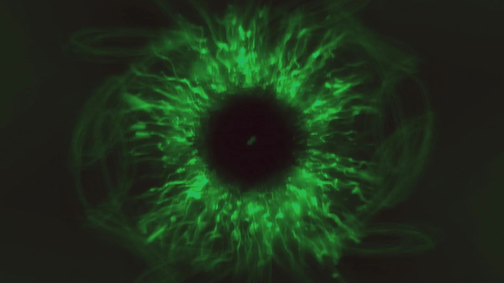 SoundSelf screenshot 3