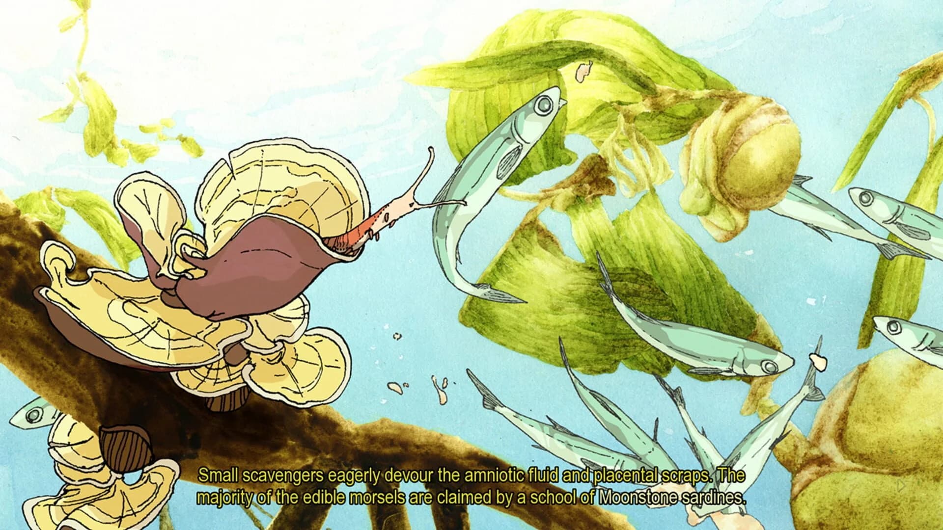 South Scrimshaw screenshot 1