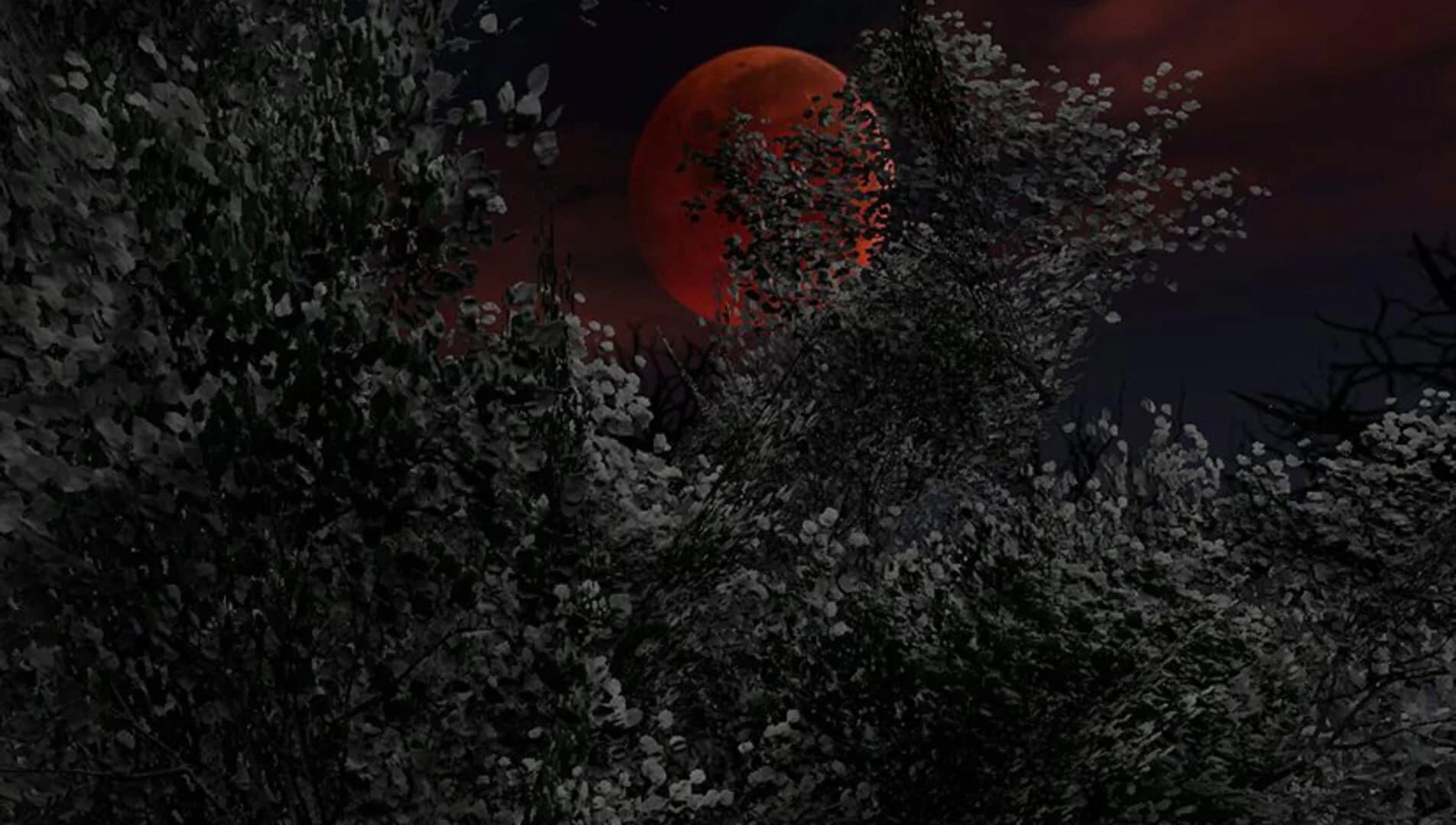 Sprites screenshot 3