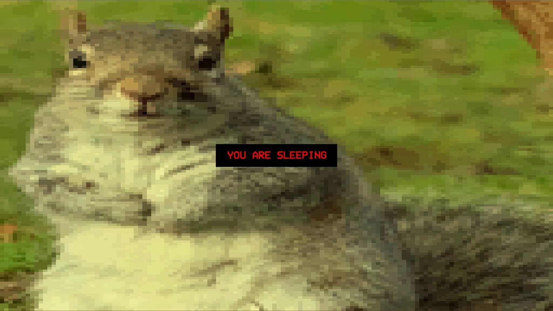 Squirrel Stapler screenshot 2