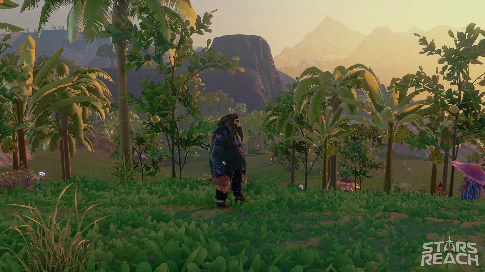 Stars Reach screenshot 3