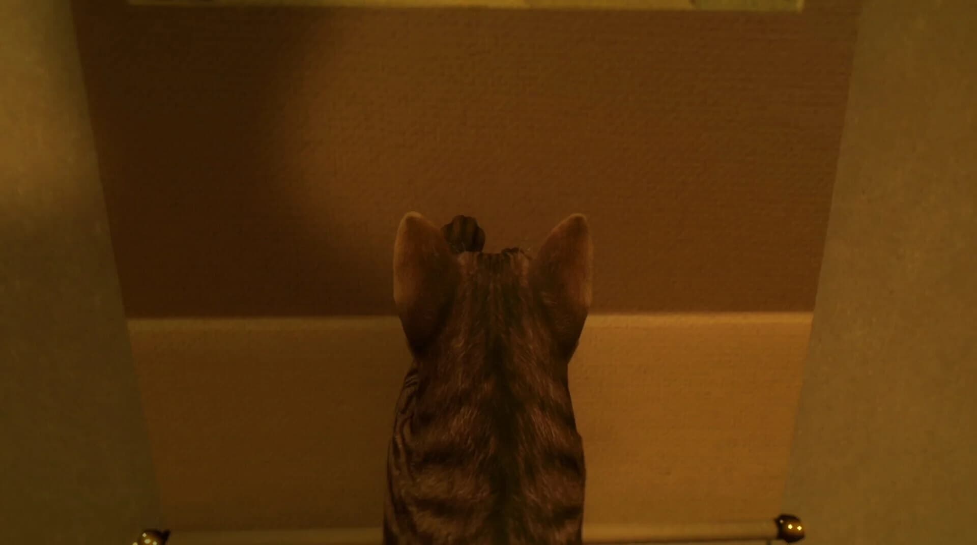 Still It Runs screenshot 2