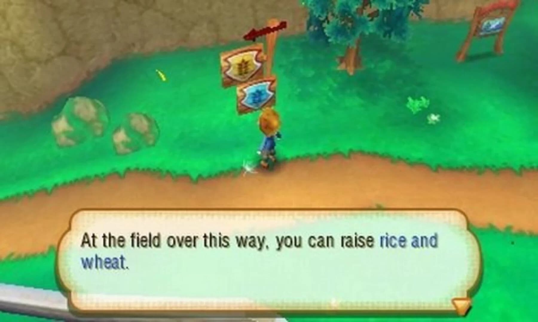 Story of Seasons screenshot 2
