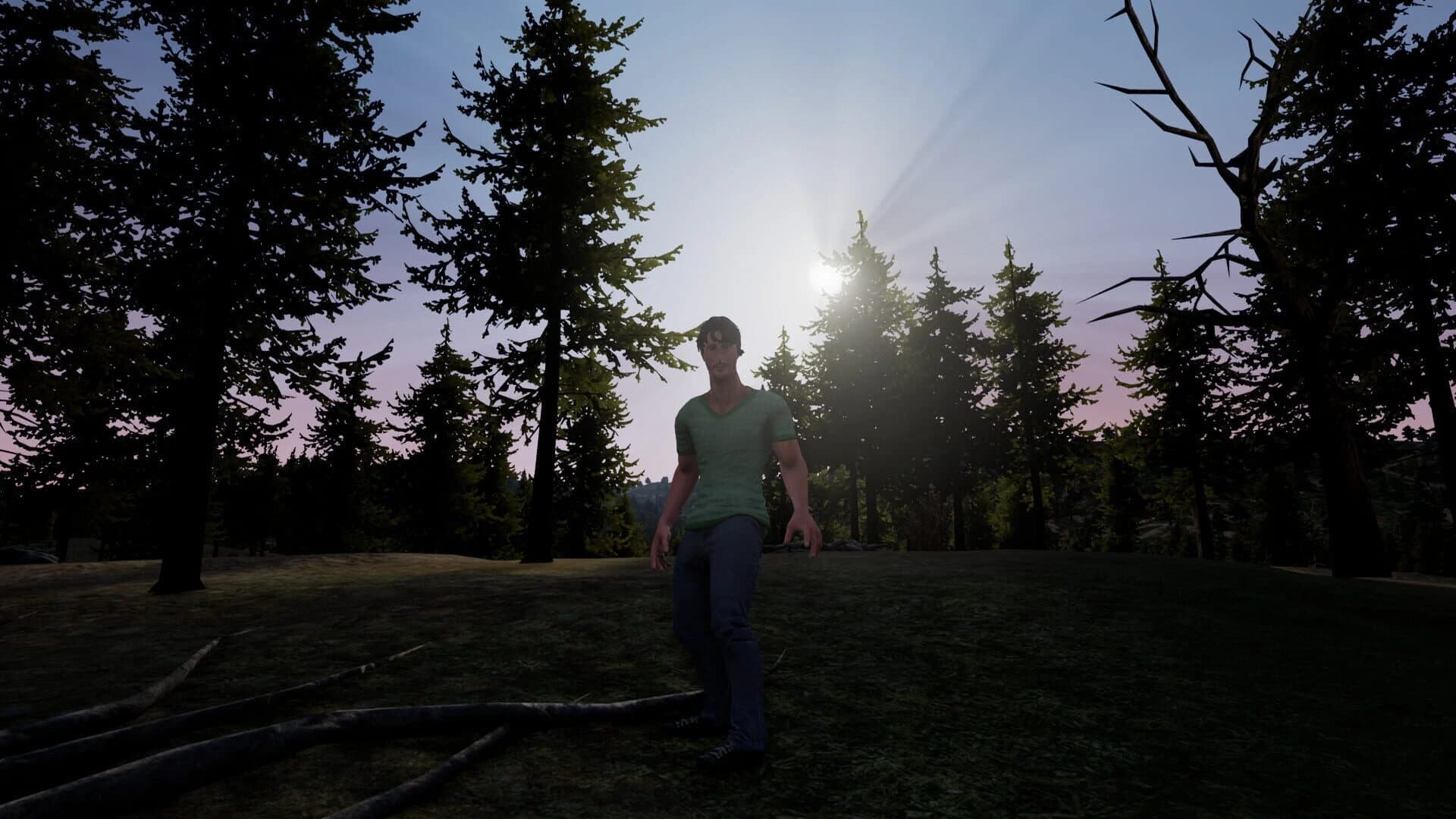 Strange Encounter screenshot 3