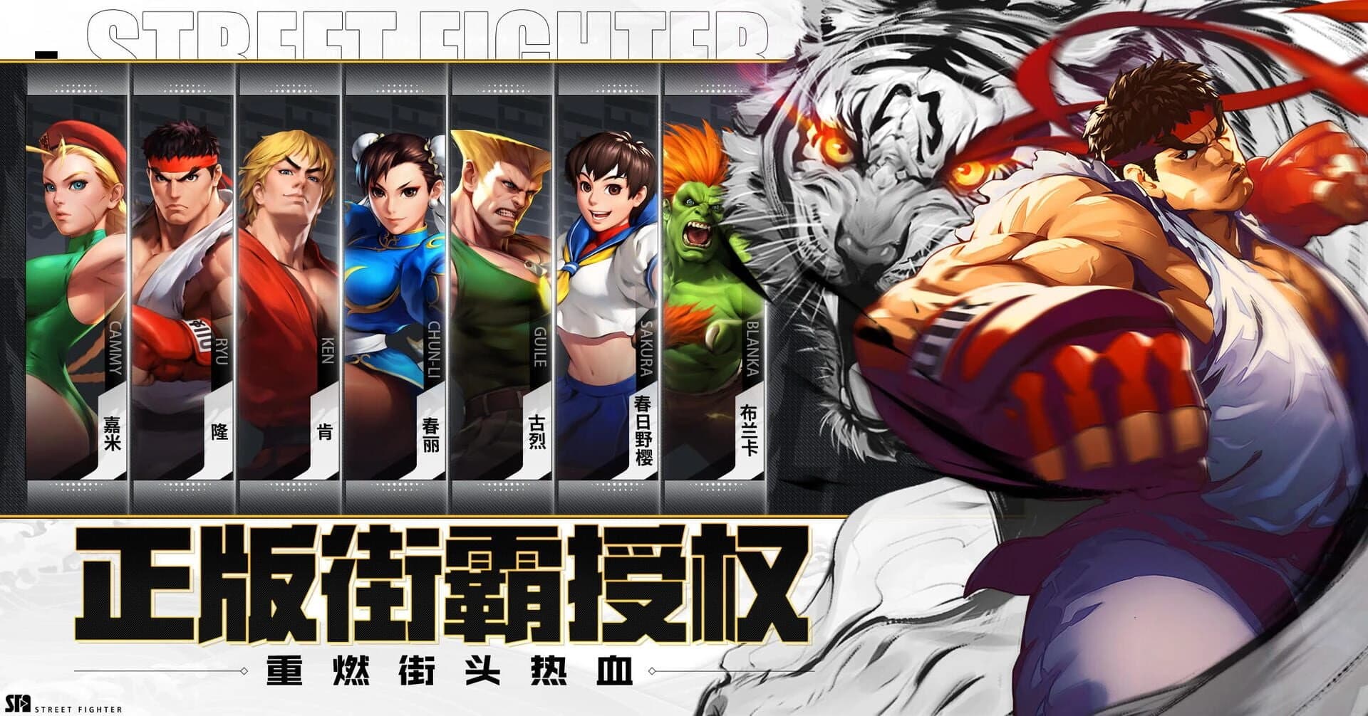 Street Fighter: Duel screenshot 2
