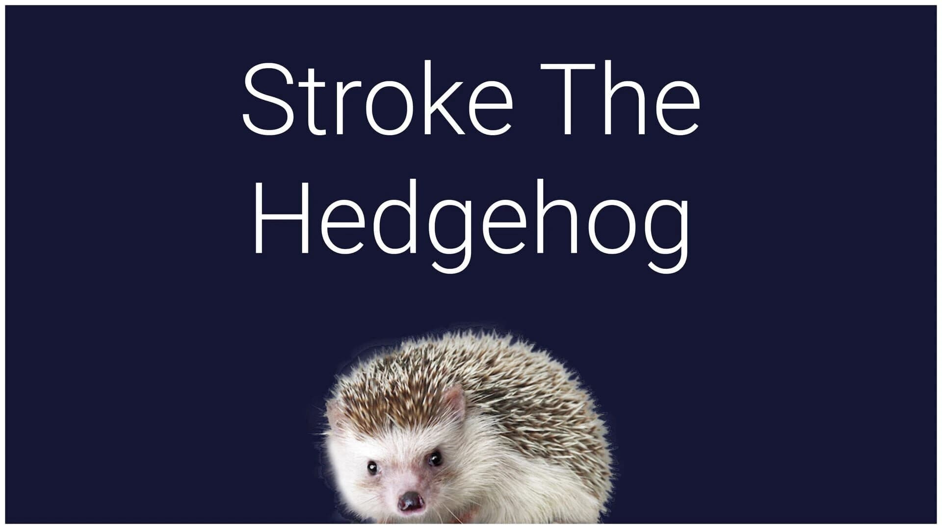 Stroke the Hedgehog screenshot 1