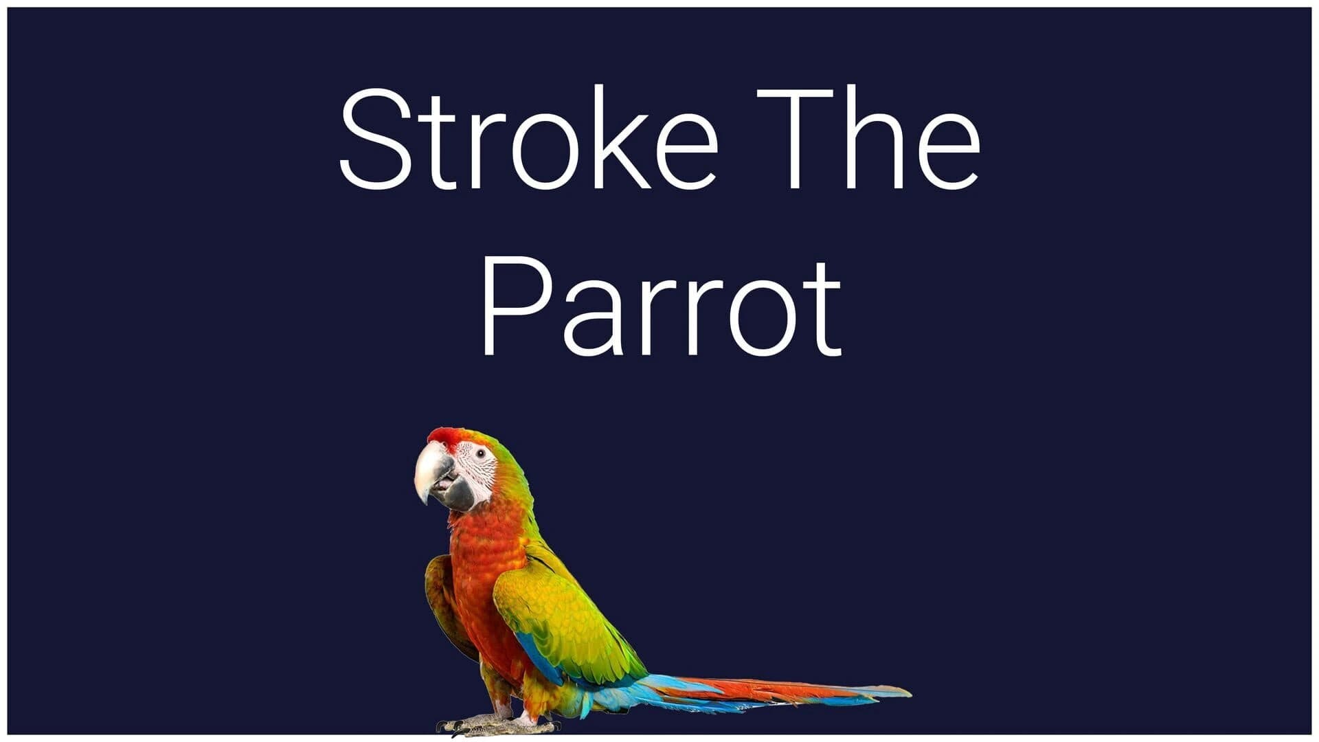 Stroke the Parrot screenshot 1