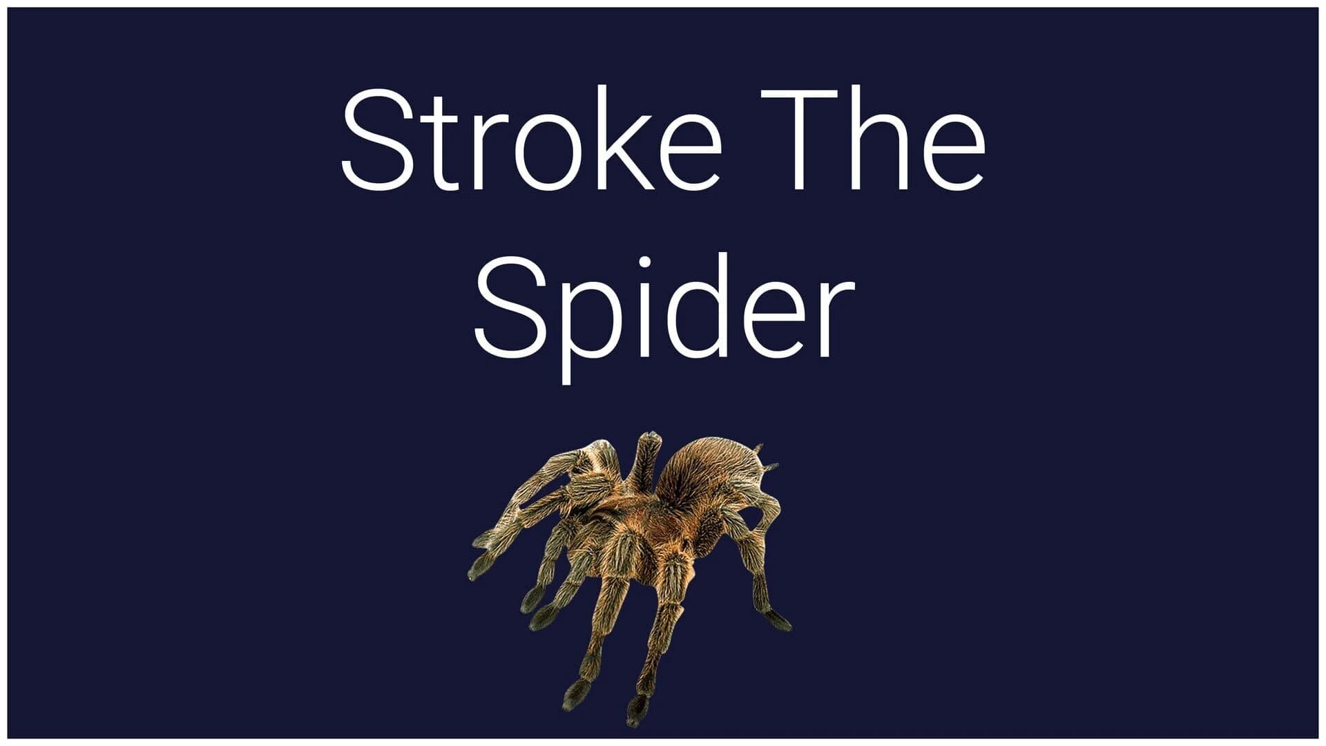 Stroke the Spider screenshot 1