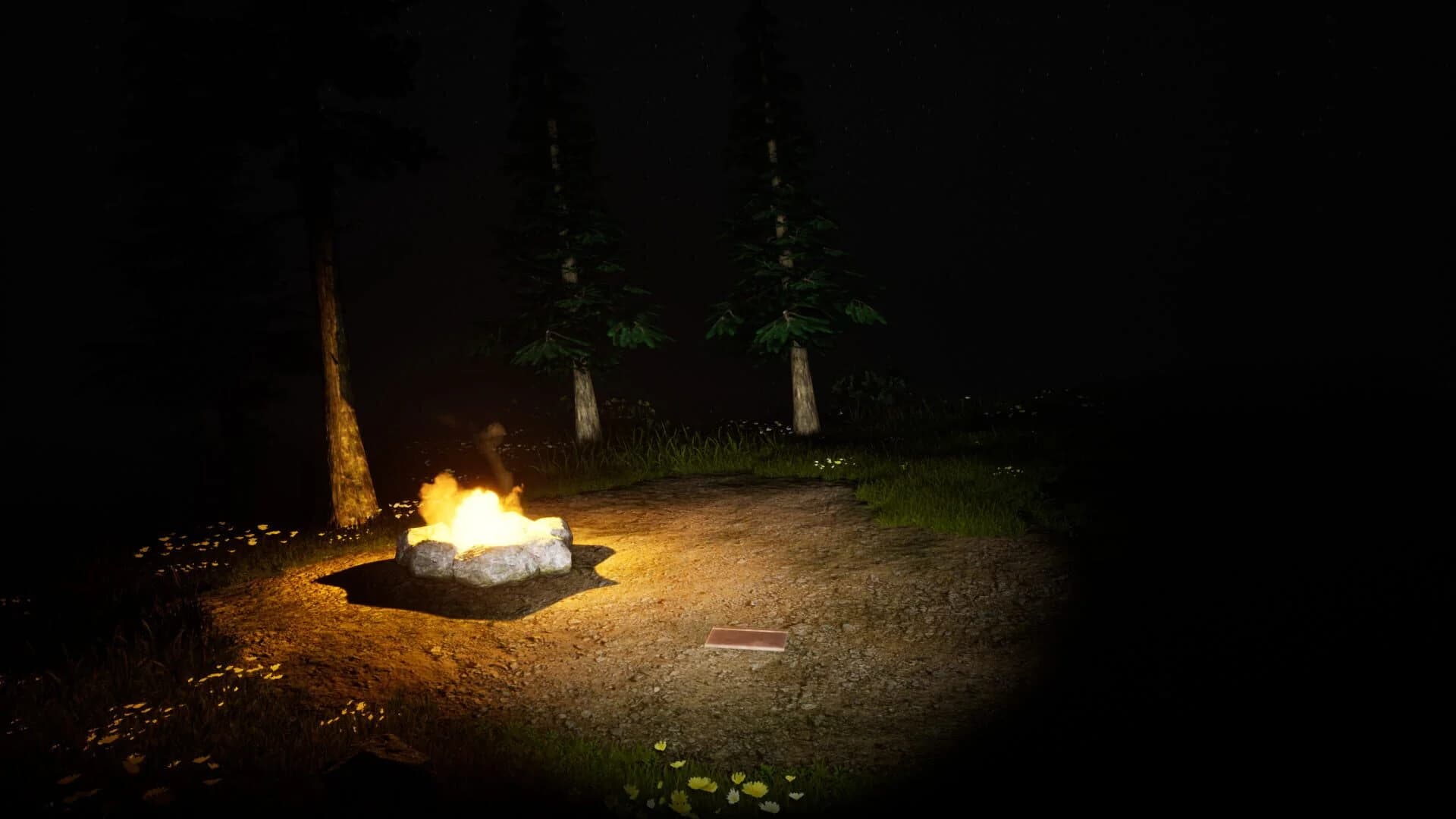Study of Unusual: Forest of Secrets screenshot 5