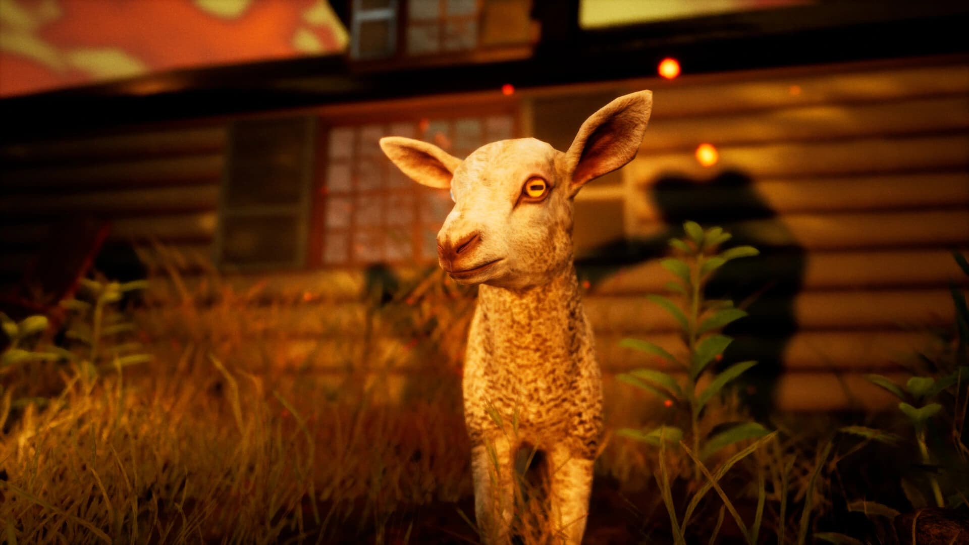 Summercamp screenshot 6