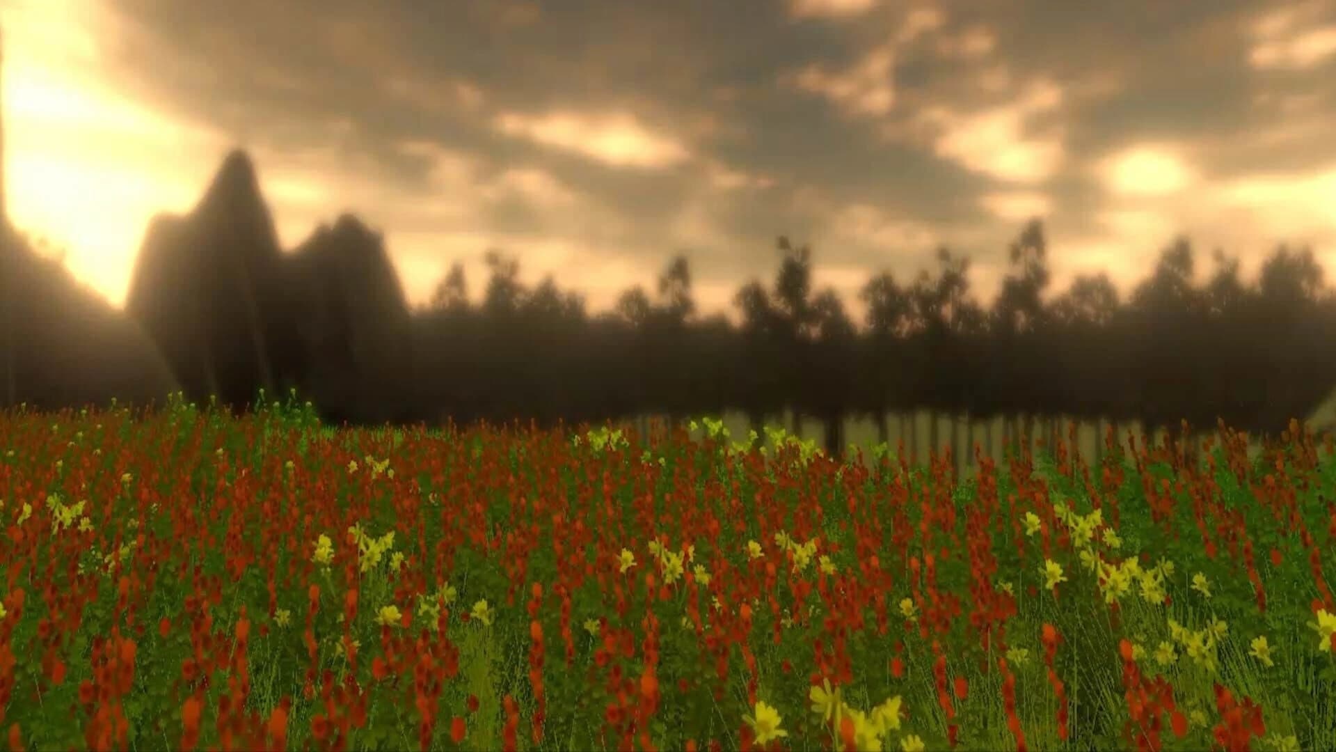 Sunflower Code screenshot 2