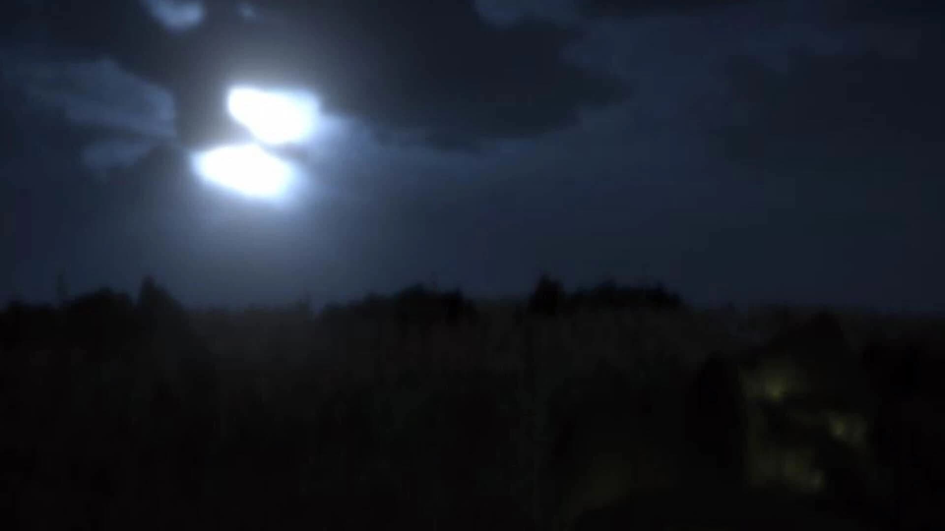 Sunflower Code screenshot 3