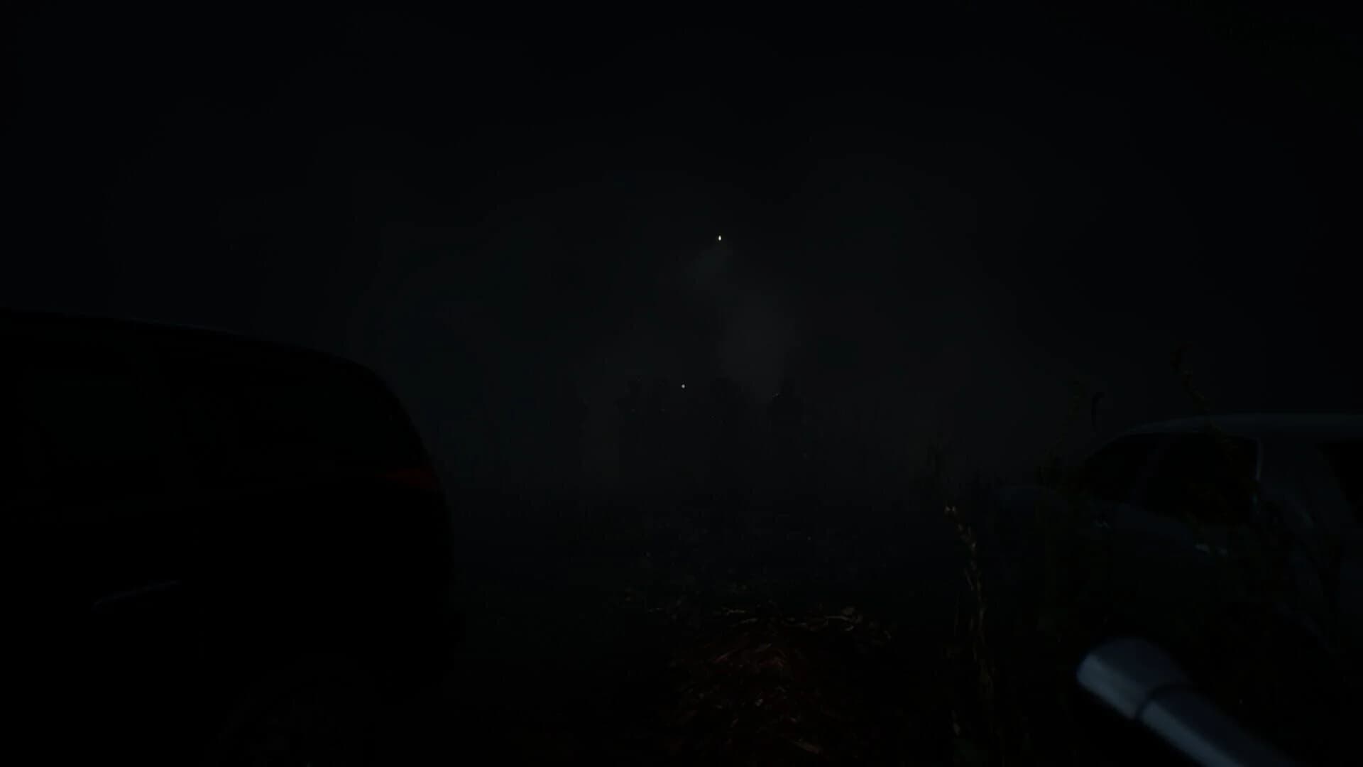 Swine's Revenge screenshot 2